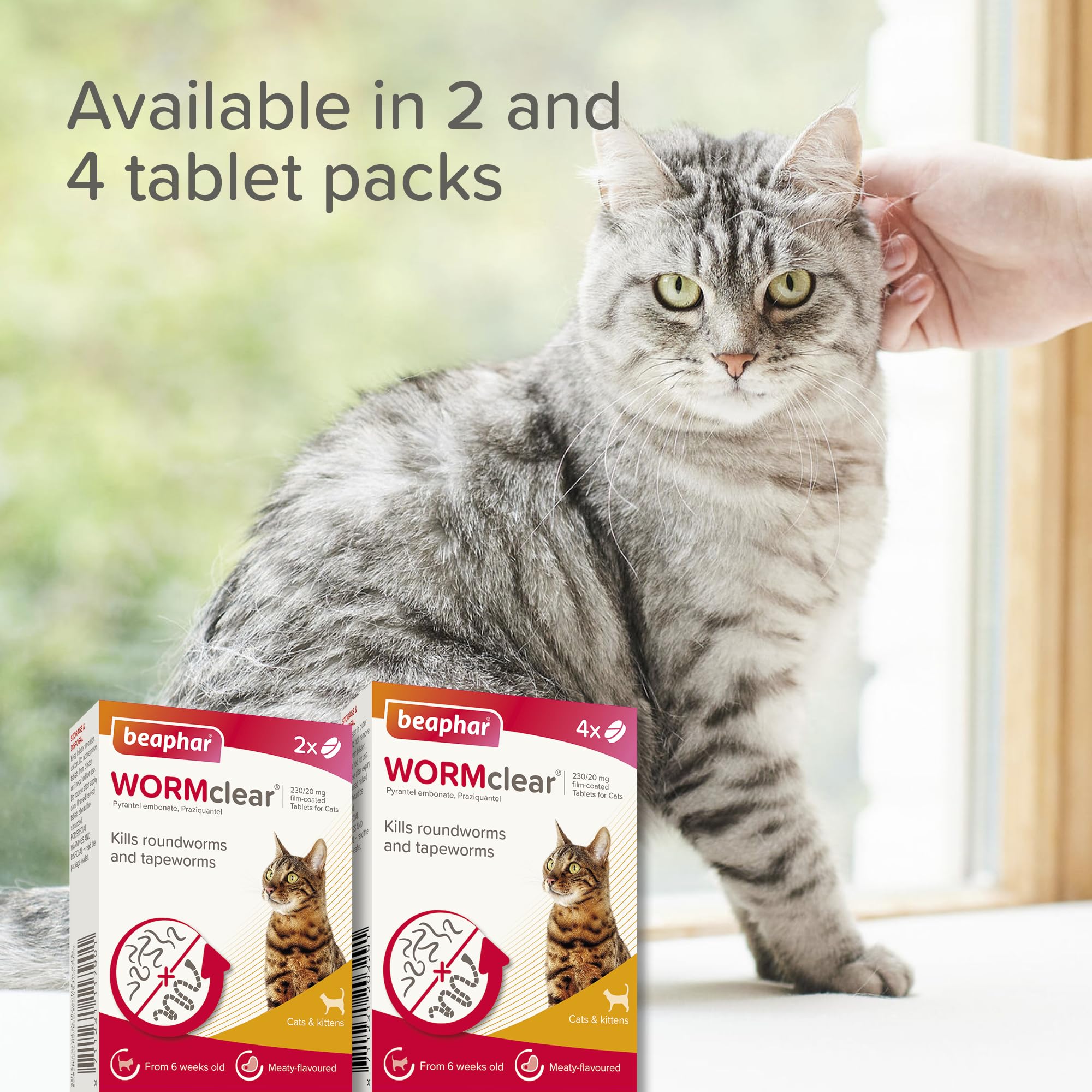 Beaphar WORMclear Tablets for Cats - Kills Roundworms & Tapeworms | 2 Tablet Pack 8