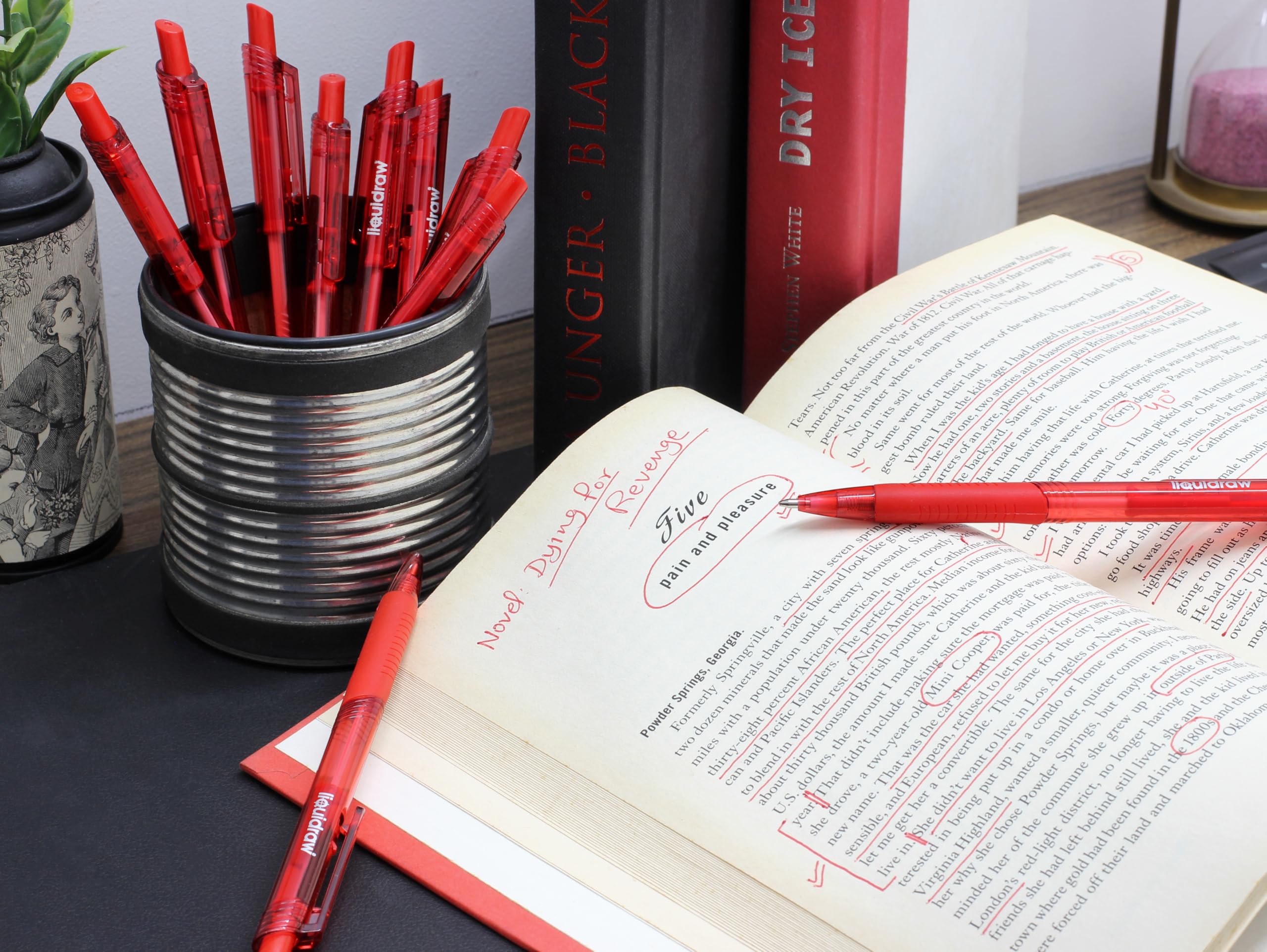Liquidraw Red Ballpoint Pens - Pack of 10 | 1.0mm Medium Tip | Retractable Click Action 6