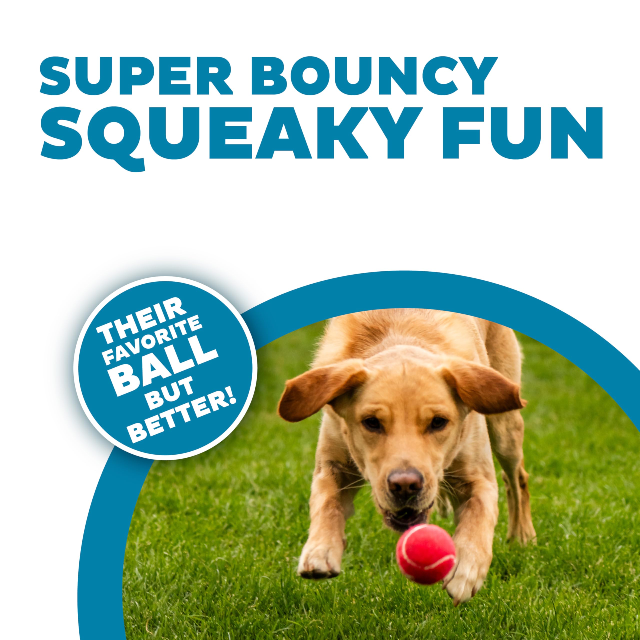 Outward Hound Squeaker Ballz Fetch Dog Toy - Medium Size, 4 Pack | Premium Rubber Bounce