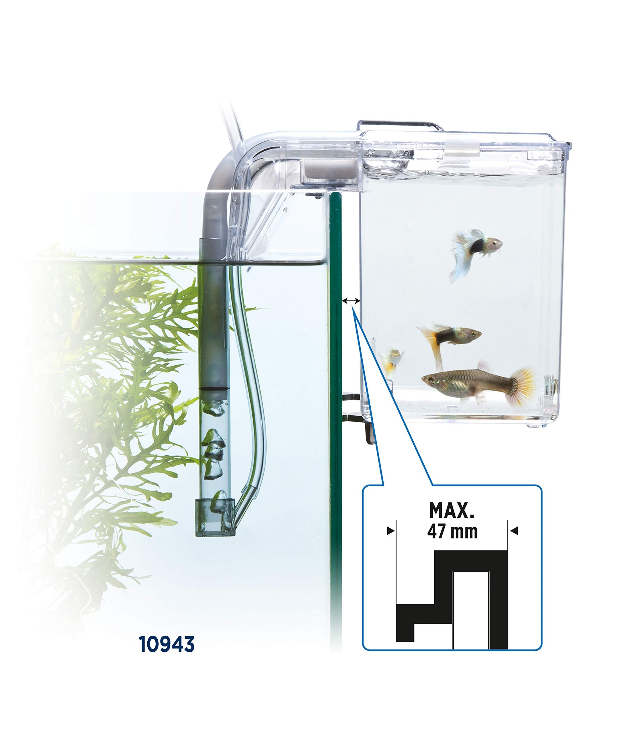 Fluval Marina Hang-On Breeding Box - Large Size, 1.9 Litre Capacity | Easy to Install 5