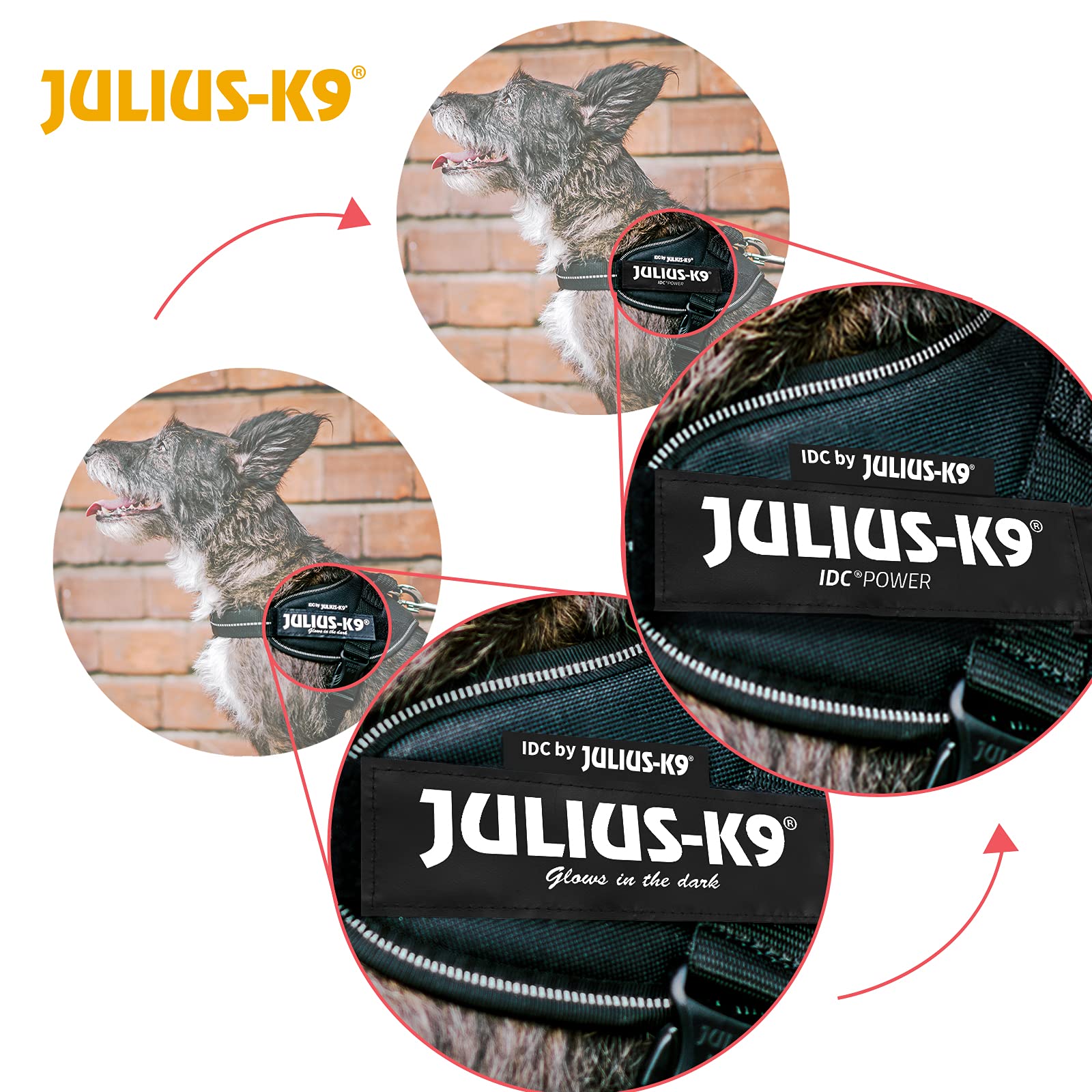 Julius-K9 IDC Powerharness - Vest Harness for Dogs | Size M/0 (14-25 kg) | Dark Purple 7