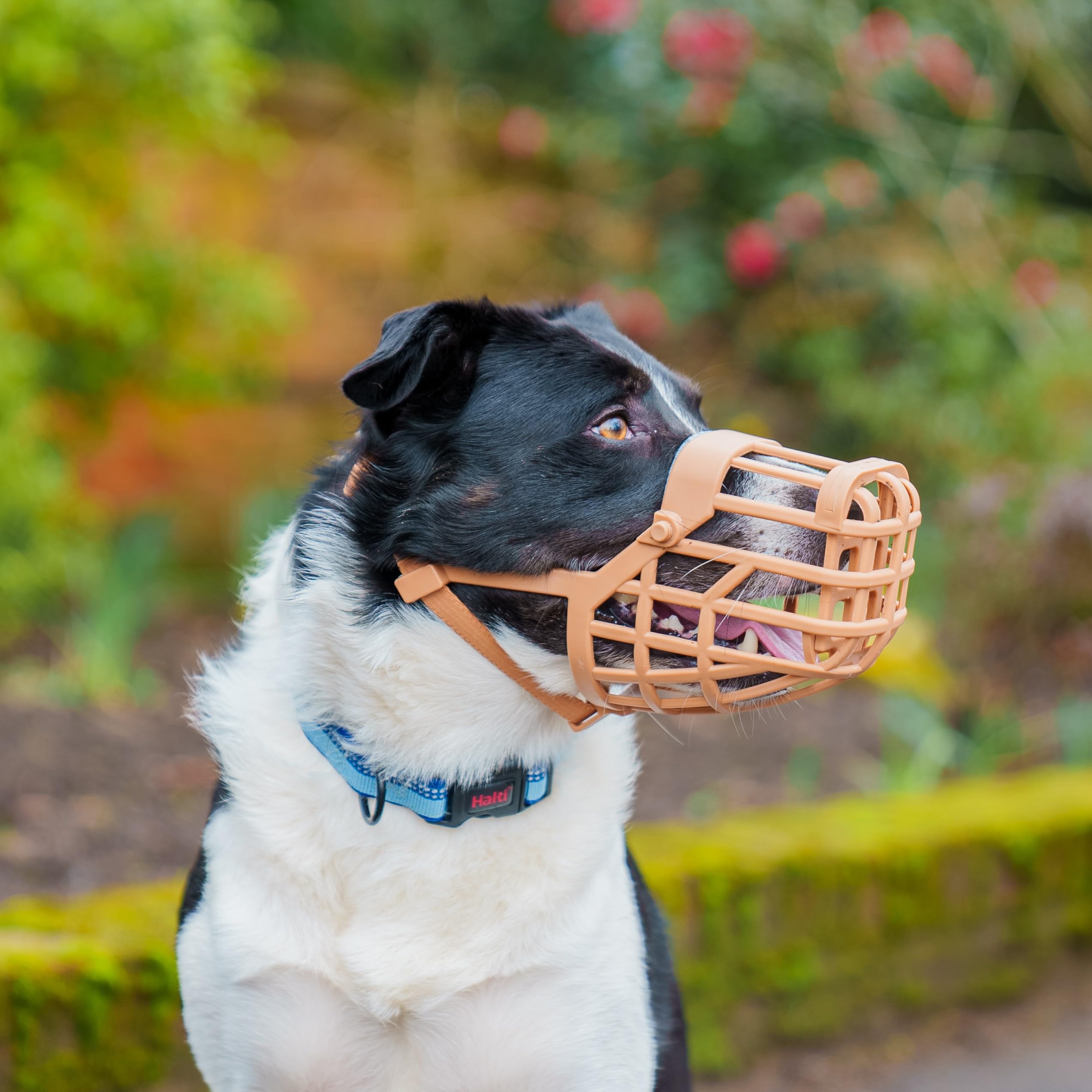 Baskerville Classic Basket Dog Muzzle - Size 9 | Brown TPE 2