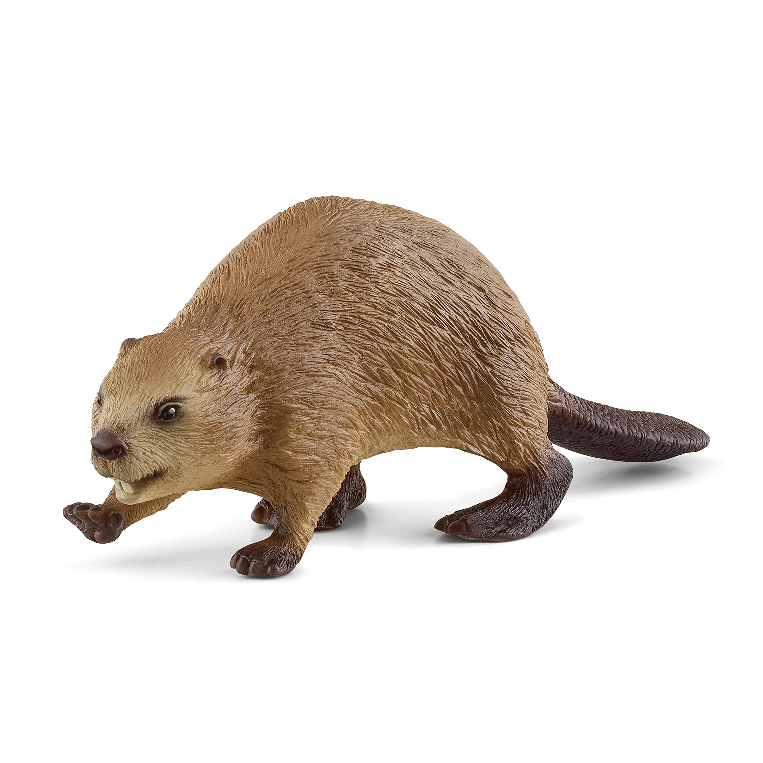 Schleich 14855 Beaver - Wildlife Animal Figure for Kids 3+ 7