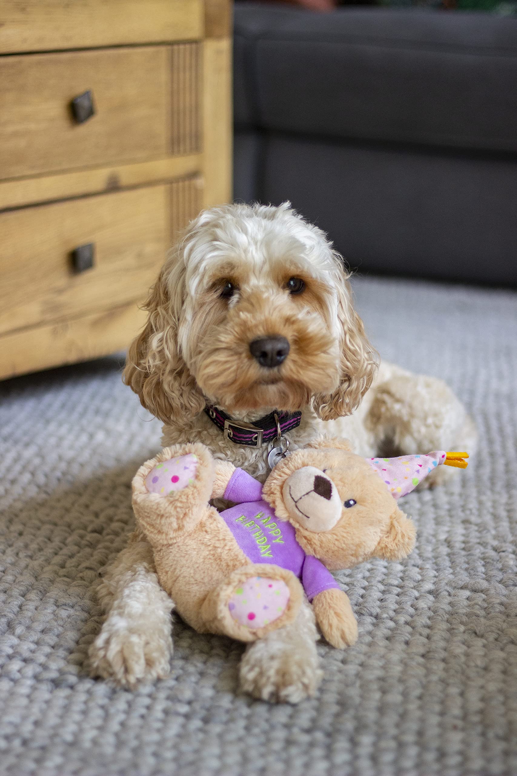 Rosewood Bonnie Birthday Bear Dog Toy - Plush Squeaky Toy for All Dogs | Multi-Coloured 3
