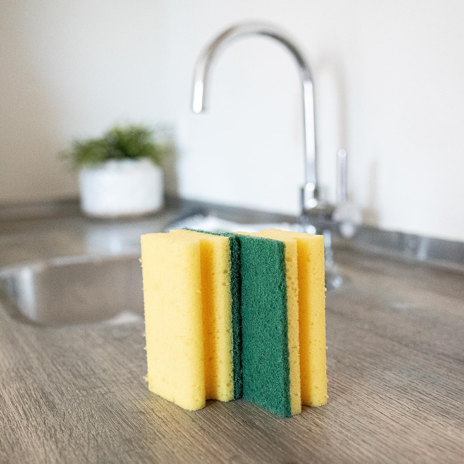 Sorbo Extra Large Scouring Sponge - Durable Foam for Stubborn Grime | 2 Pack | 11.5cm x 6cm x 4cm 9