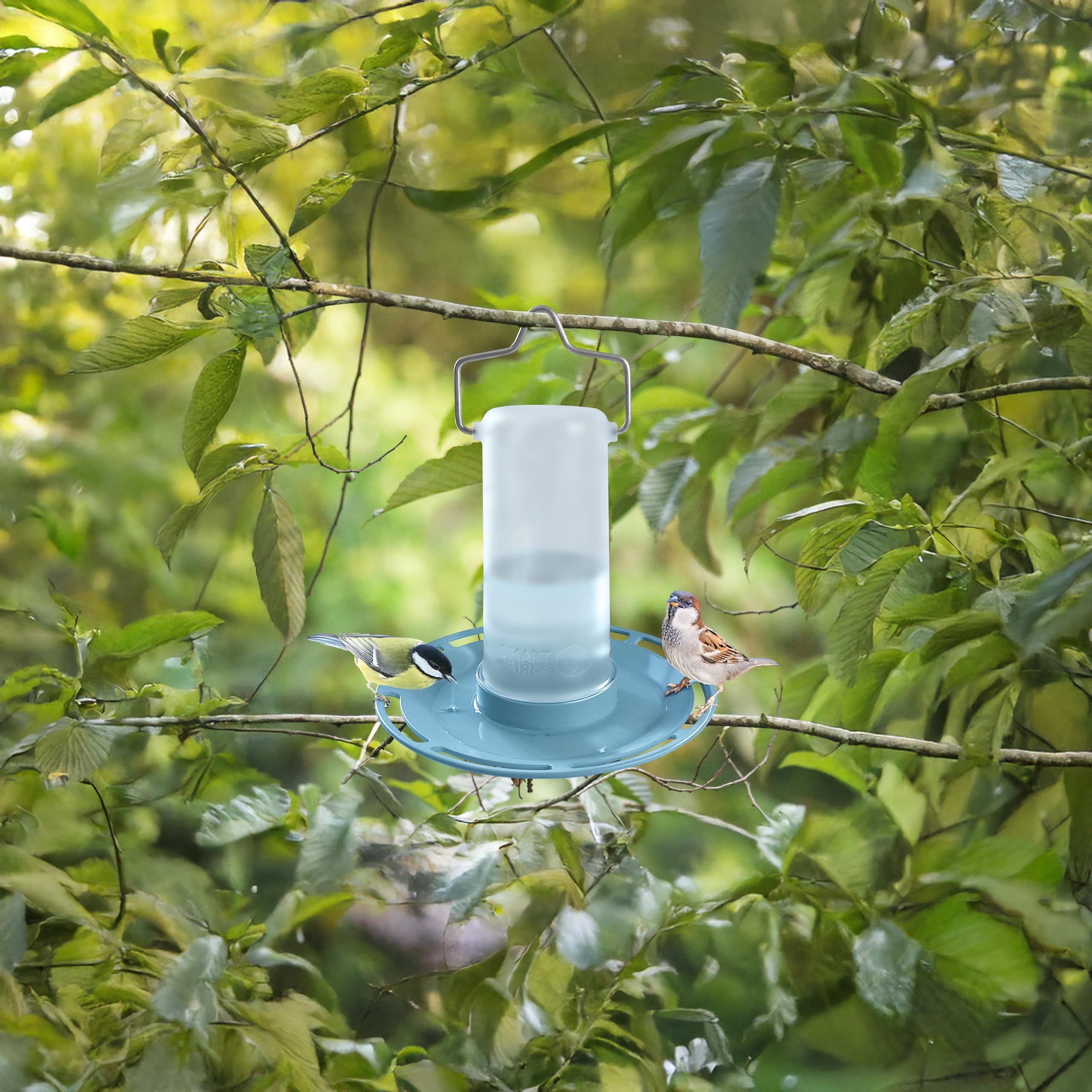 SWISSINNO Bird Waterer "Zug" - UV Resistant, Light Blue, Durable PC/ASA Plastic 2