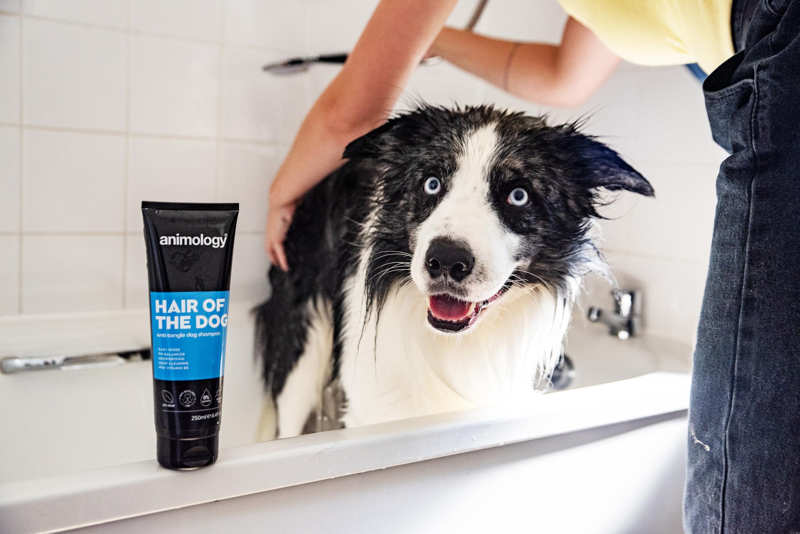 Animology Hair of the Dog Detangling Dog Shampoo - 250 ml | Built-in Conditioner | Pro-Vitamin B5 7