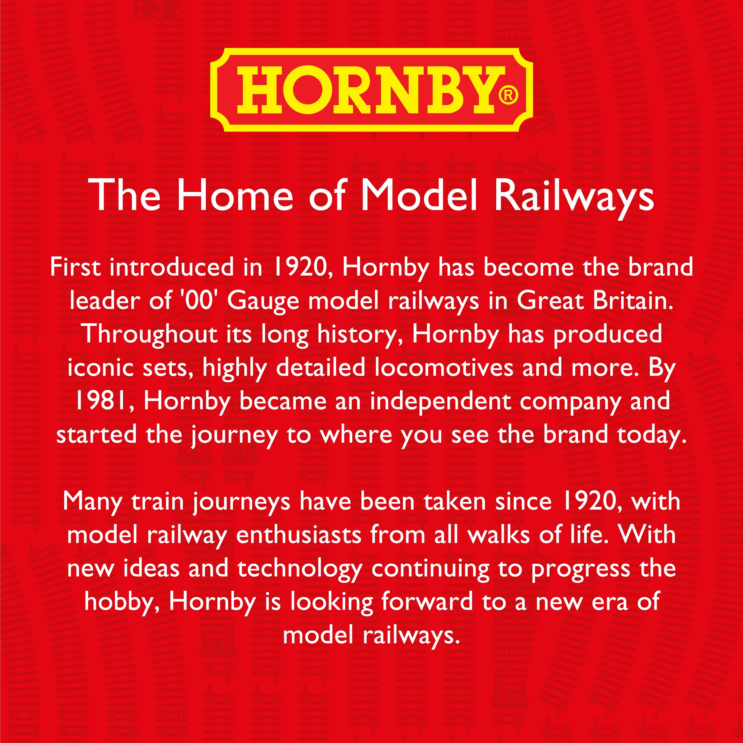 Hornby R8221 OO Gauge Track Extension Pack A | Includes Straights, Double Straight, Curves, LH Point & Buffer Stop 3
