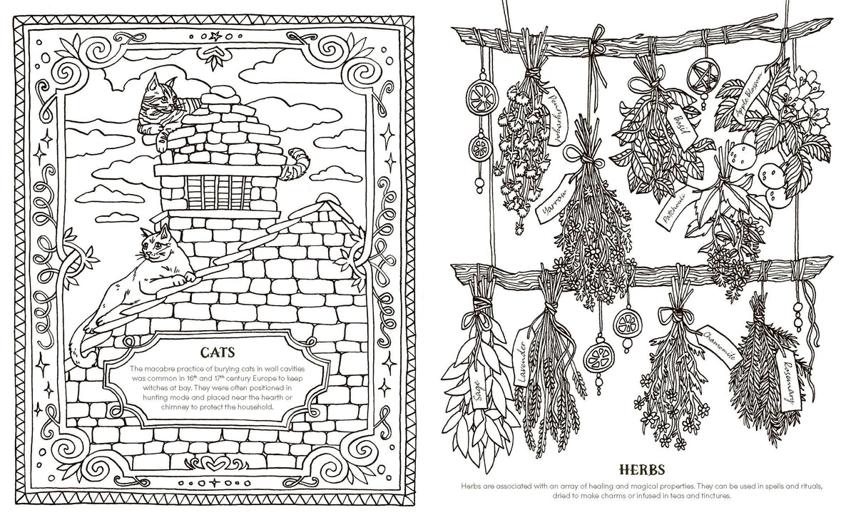 Quadrille Publishing - Into the Coven Witch Colouring Book - 96 Pages