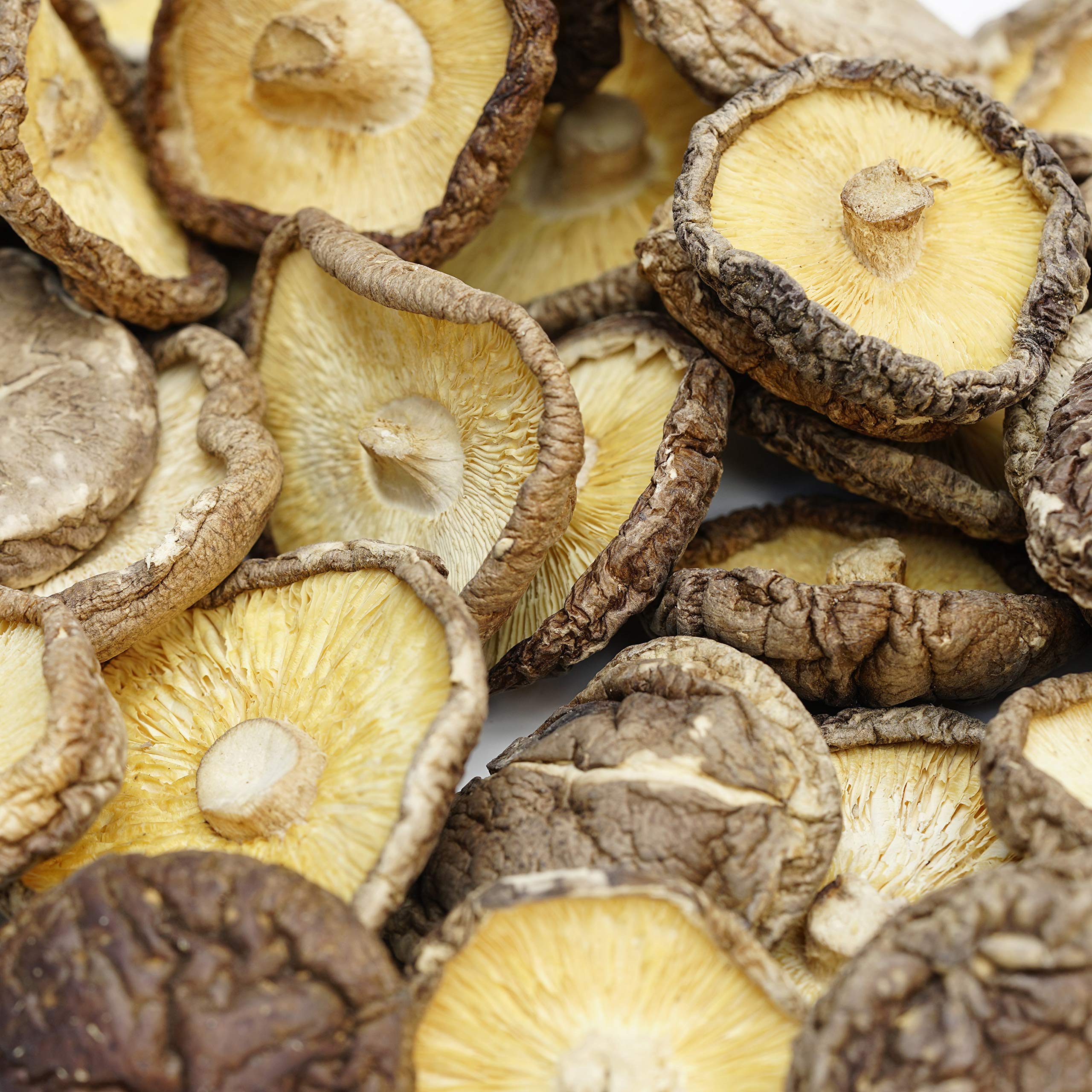Emma Basic Dried Shiitake Mushroom - High Protein & Fibre | Umami Flavour | 500g Whole 2