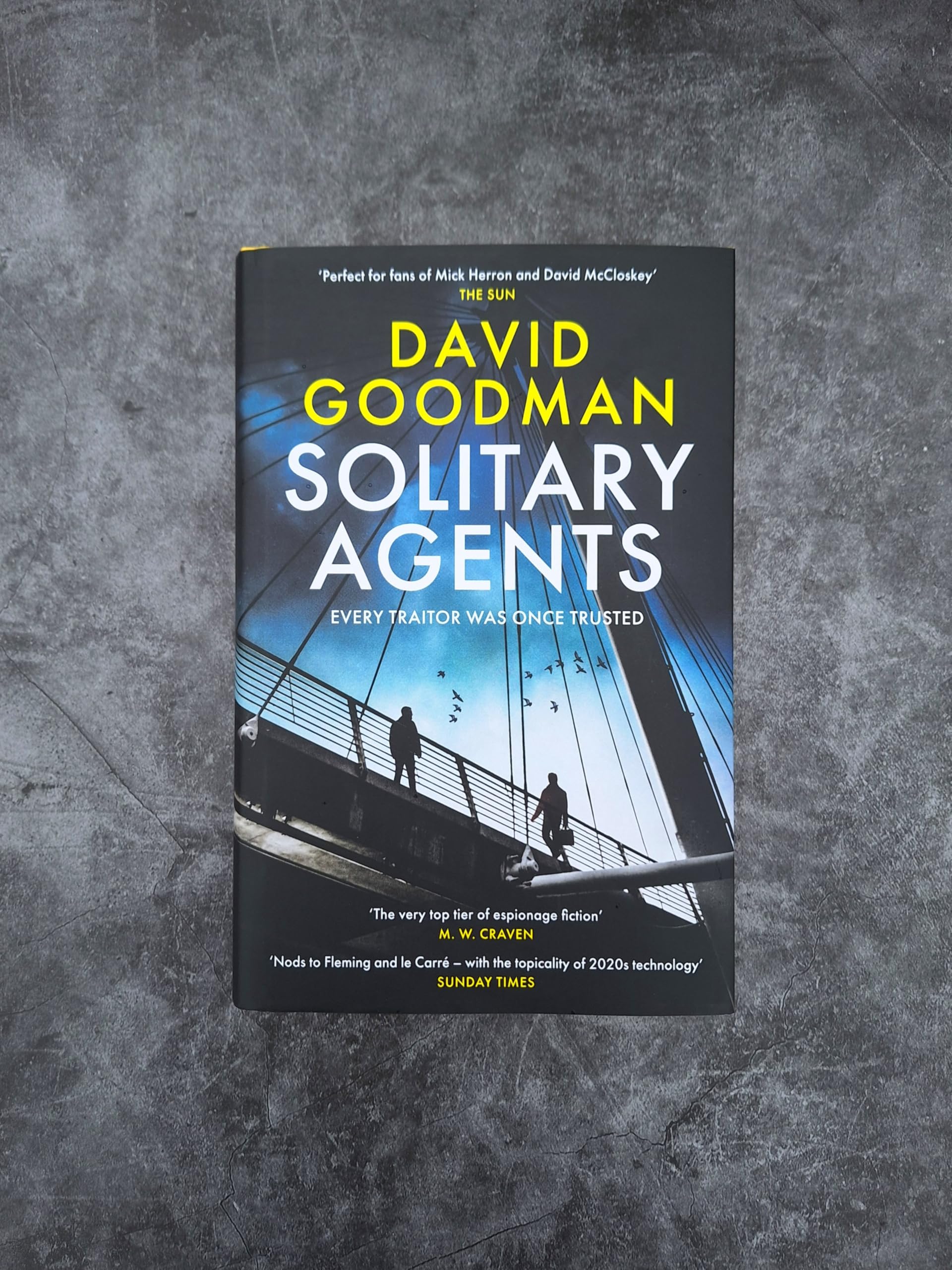 Headline Home Solitary Agents by David Goodman | Gripping Spy Thriller Hardcover