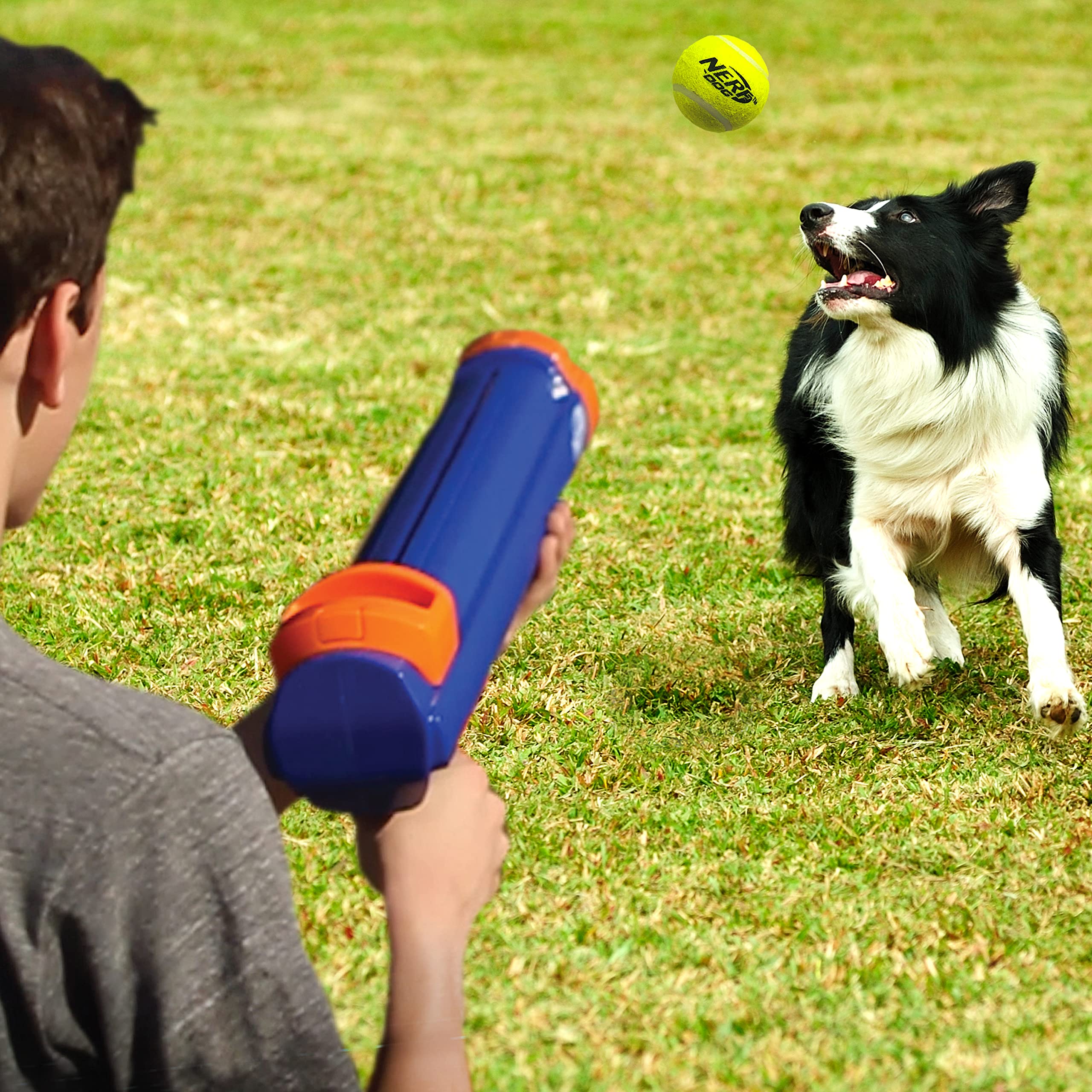 Nerf Dog 12in Blaster with 3 Squeak Tennis Balls - Shoots Up to 50 Feet 5