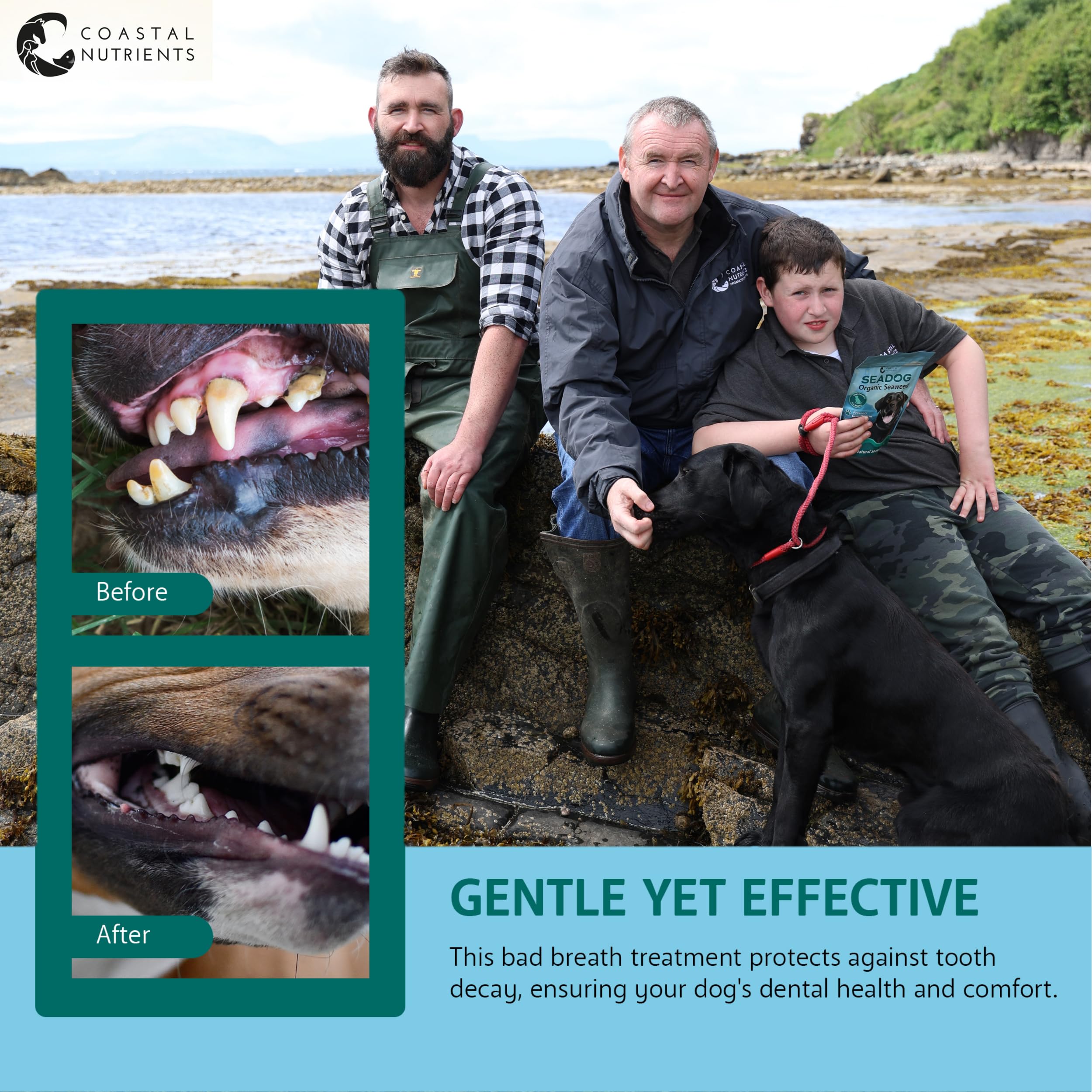 Coastal Nutrients Sea Dog Dental Powder for Dogs - Oral Hygiene & Gut Health | 250 g