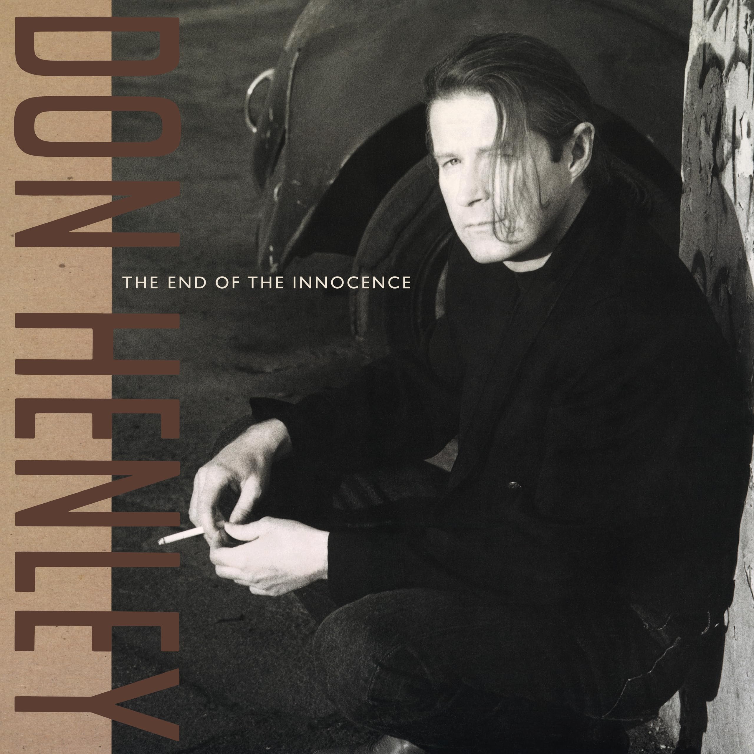 Don Henley - The End Of The Innocence [2LP Vinyl] 2