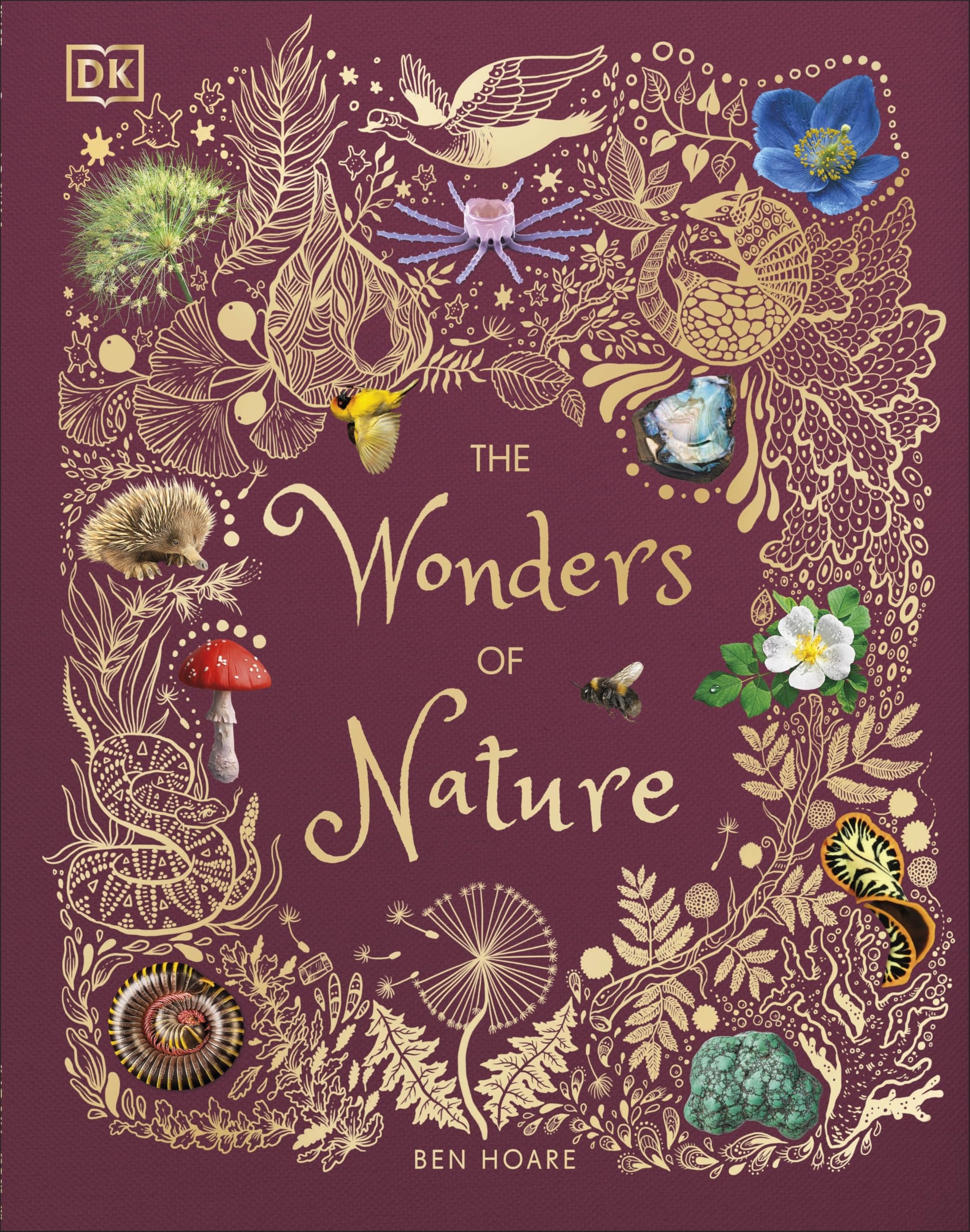 Penguin The Wonders of Nature Reference Book | Hardcover | English | 224 Pages 1