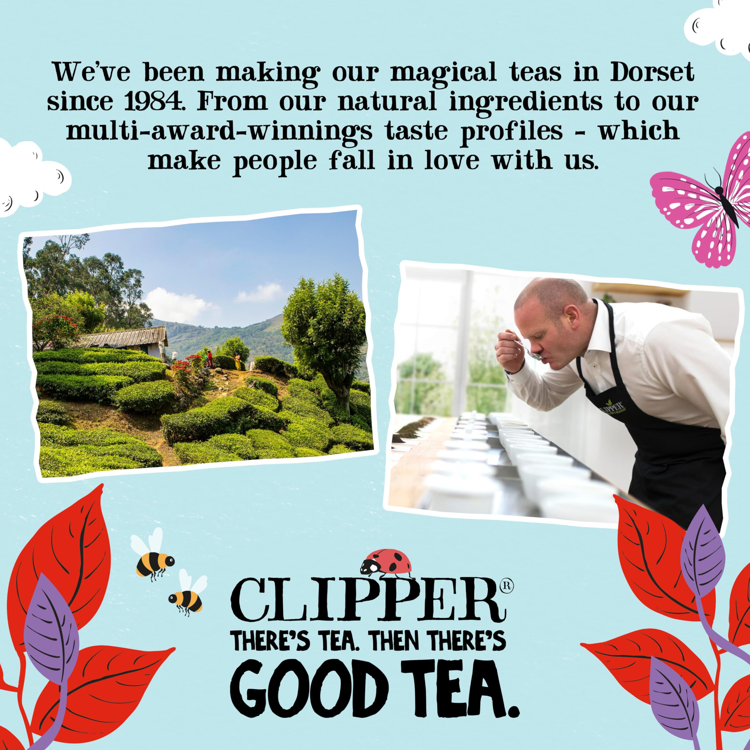 Clipper Organic English Breakfast Tea - Full-Bodied Assam & Ceylon Blend | 50 Count Teabags 8