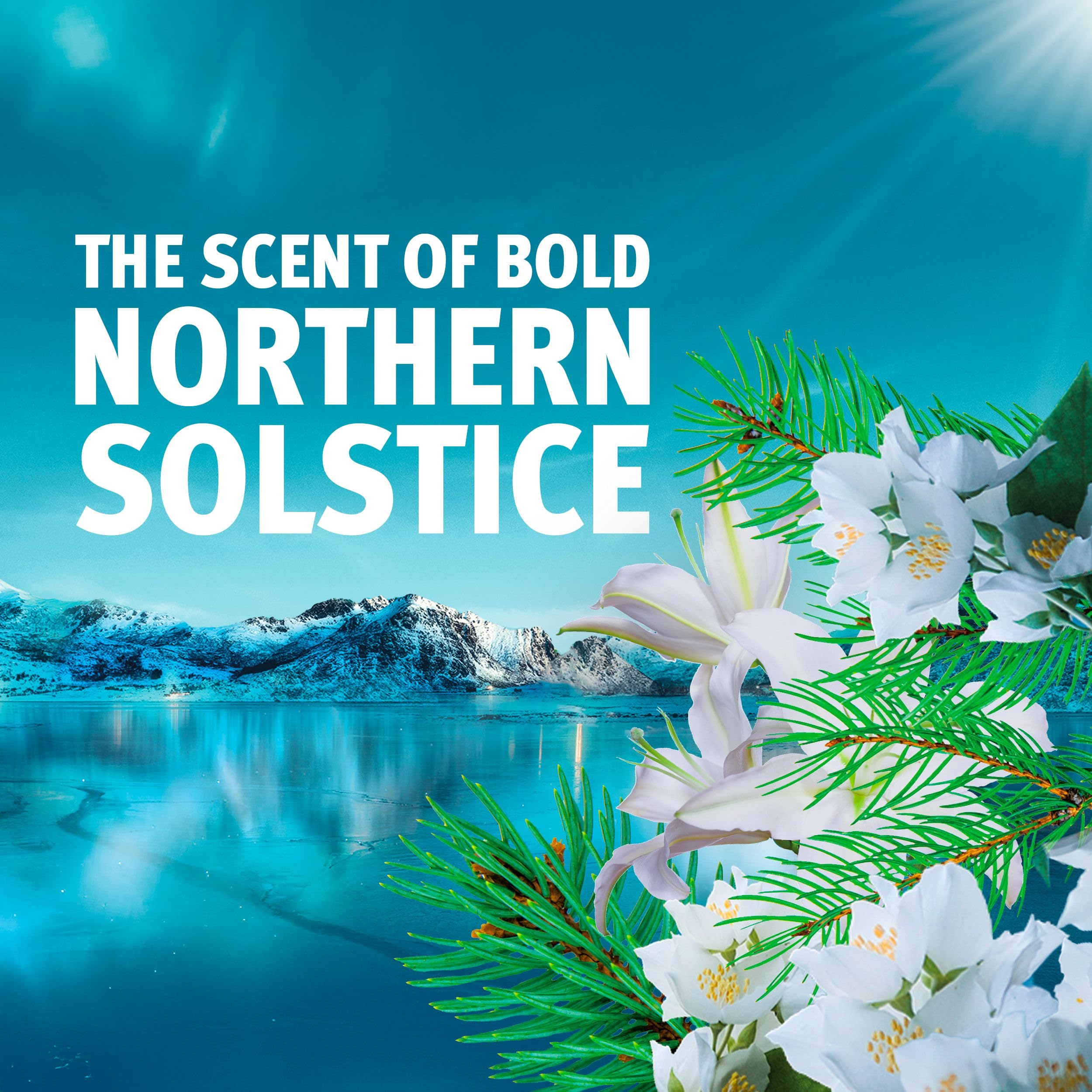 Bold Northern Solstice Liquid Detergent Gel - 40 Washes, 1.32L