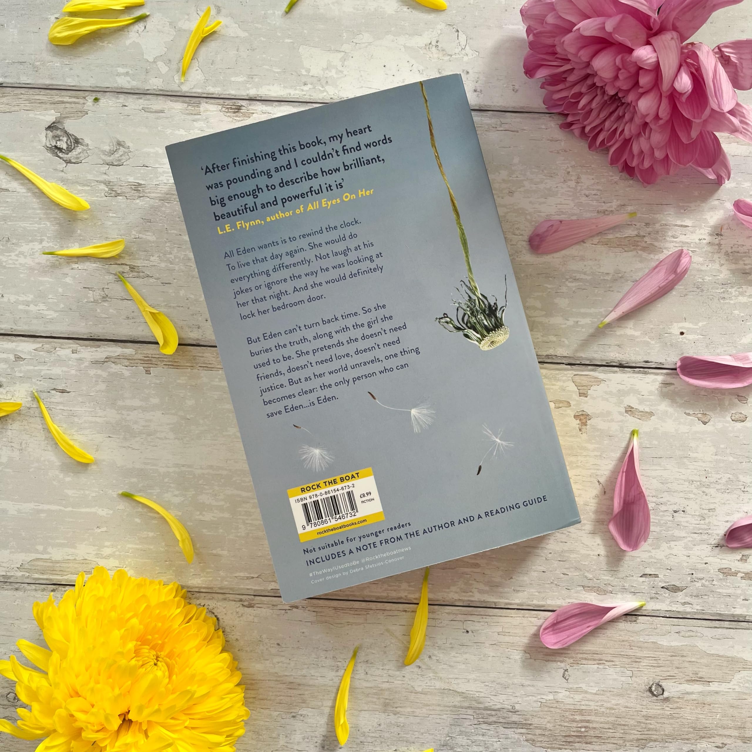 Amber Smith - The Way I Used to Be | Young Adult Literature & Fiction 3