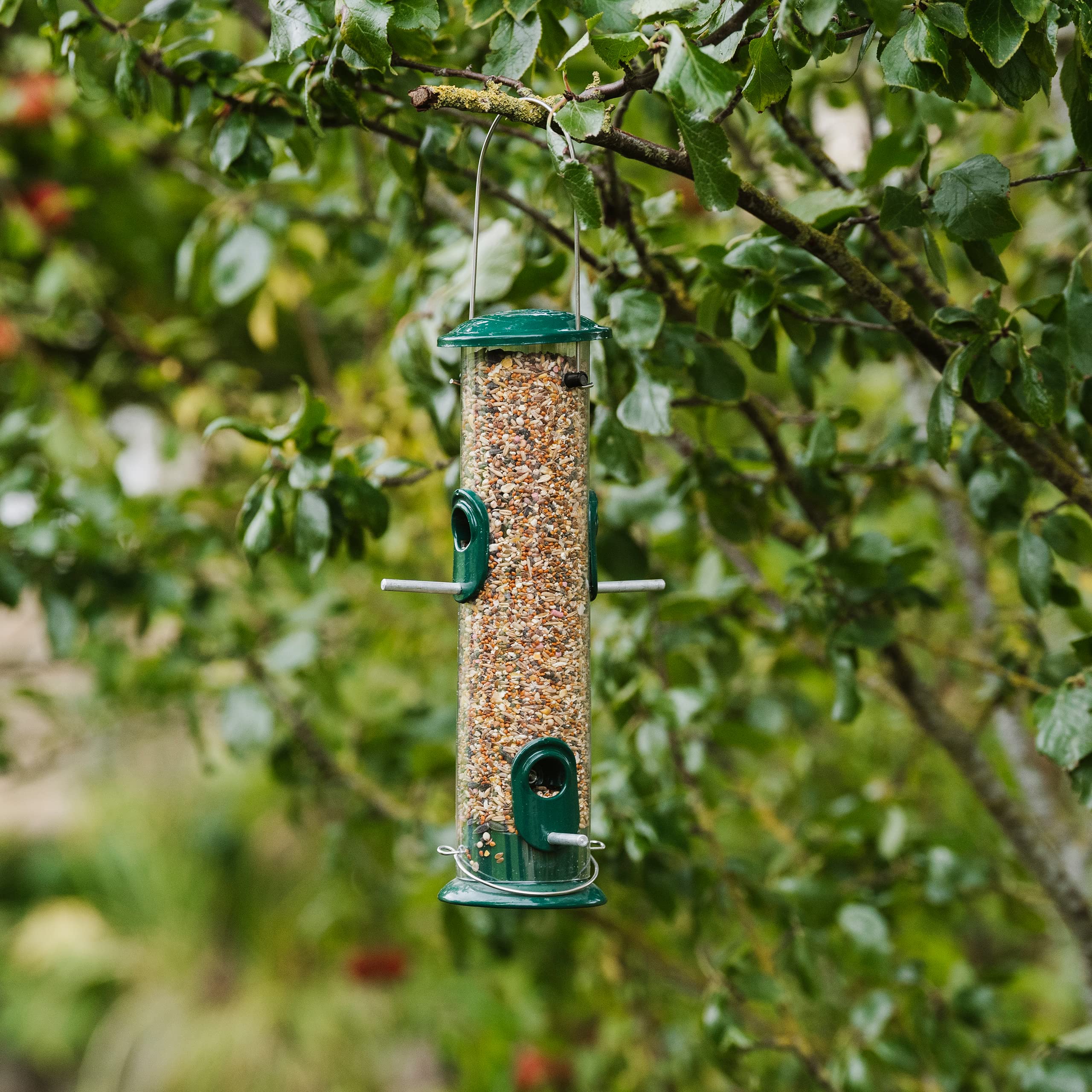 Peckish All Weather Metal Bird Seed Feeder - Large Capacity 700g | Hanging Mount | Durable Metal & Polycarbonate 3