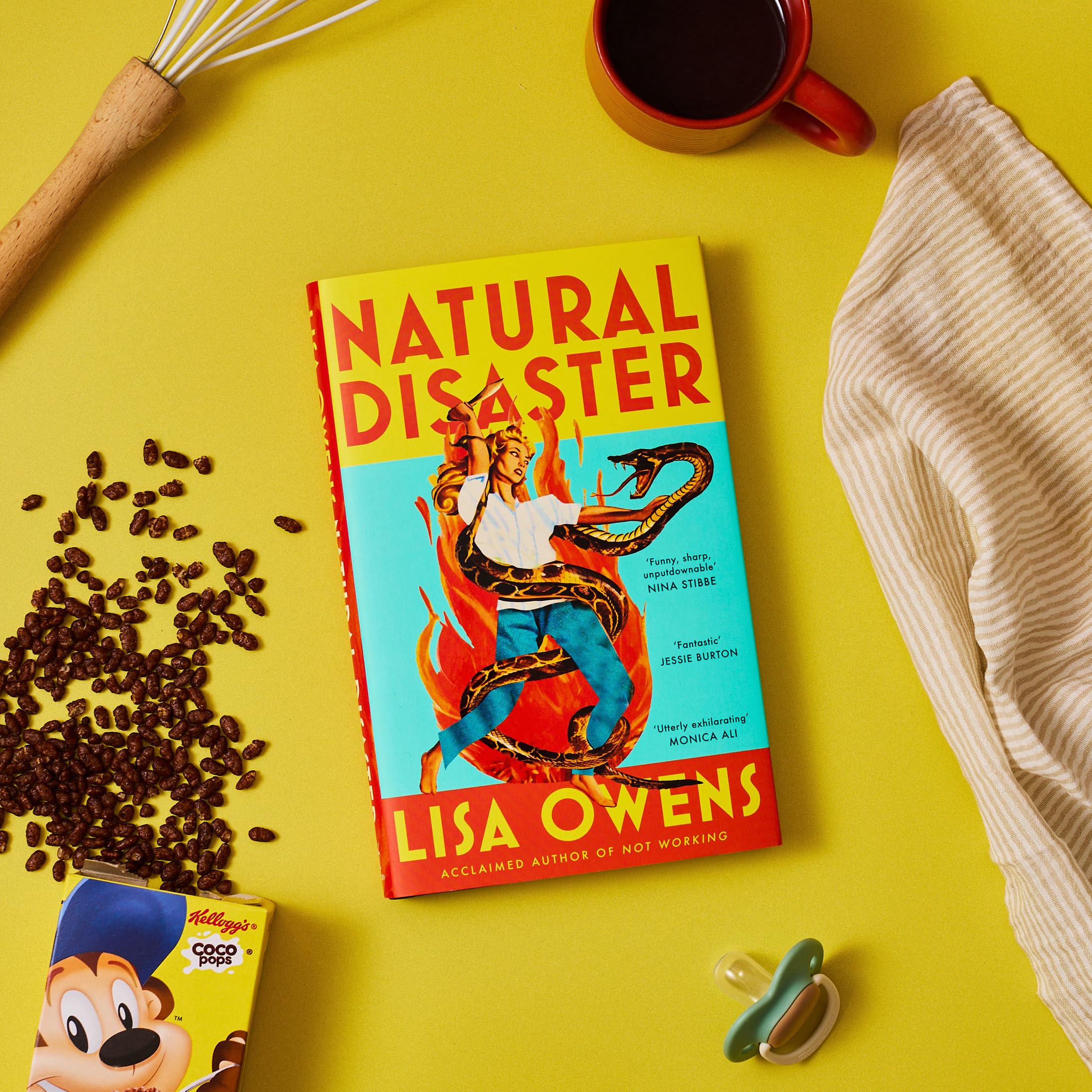 Virago Natural Disaster by Lisa Owens - Contemporary Fiction | Hardcover 3