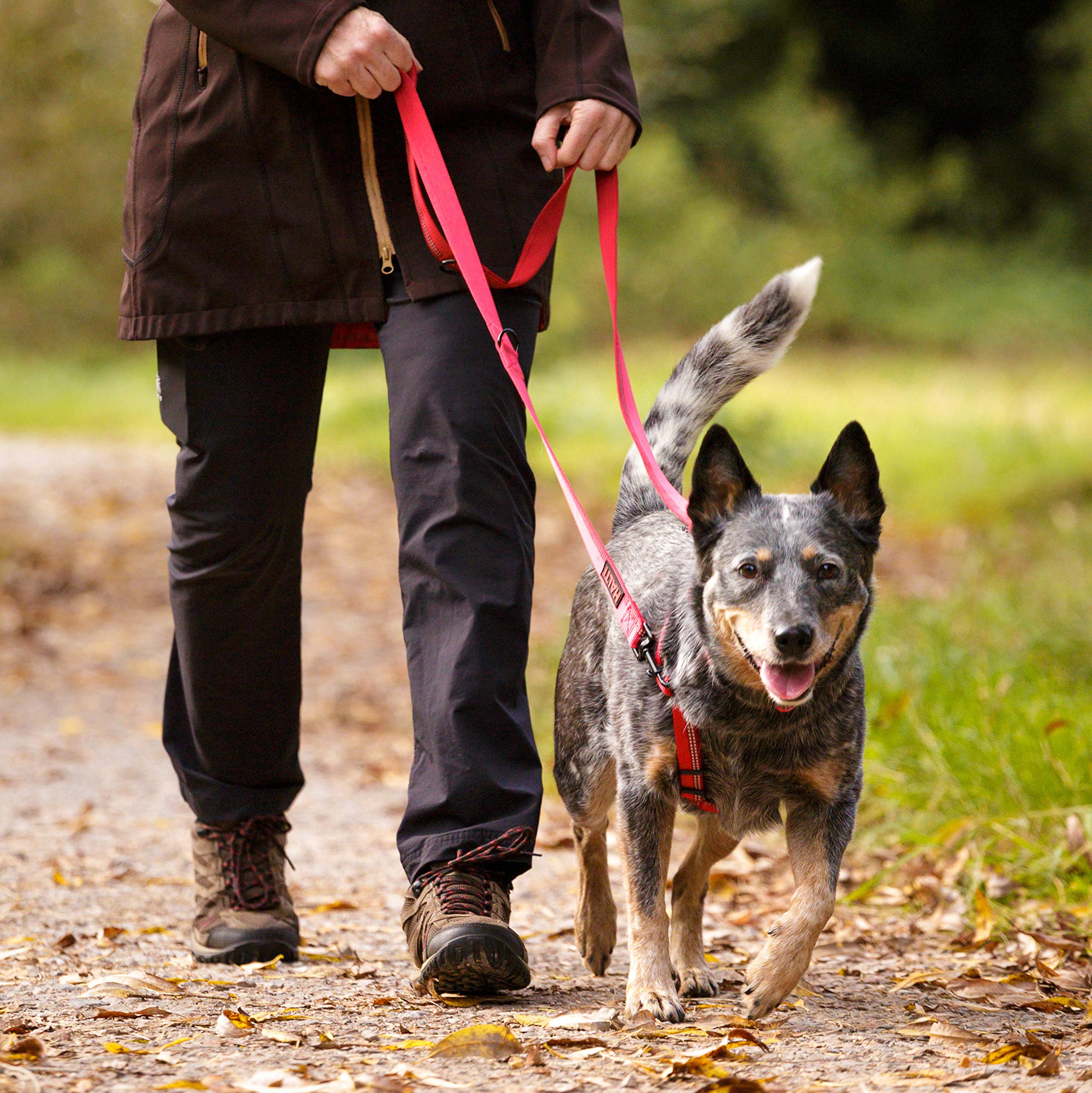 Halti Double-Ended Lead for Dogs - Large Size, Red, 2m Length | Multi-Use 3
