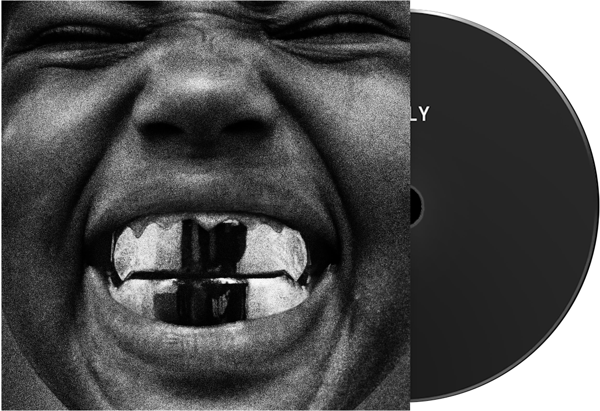 BULLY 1