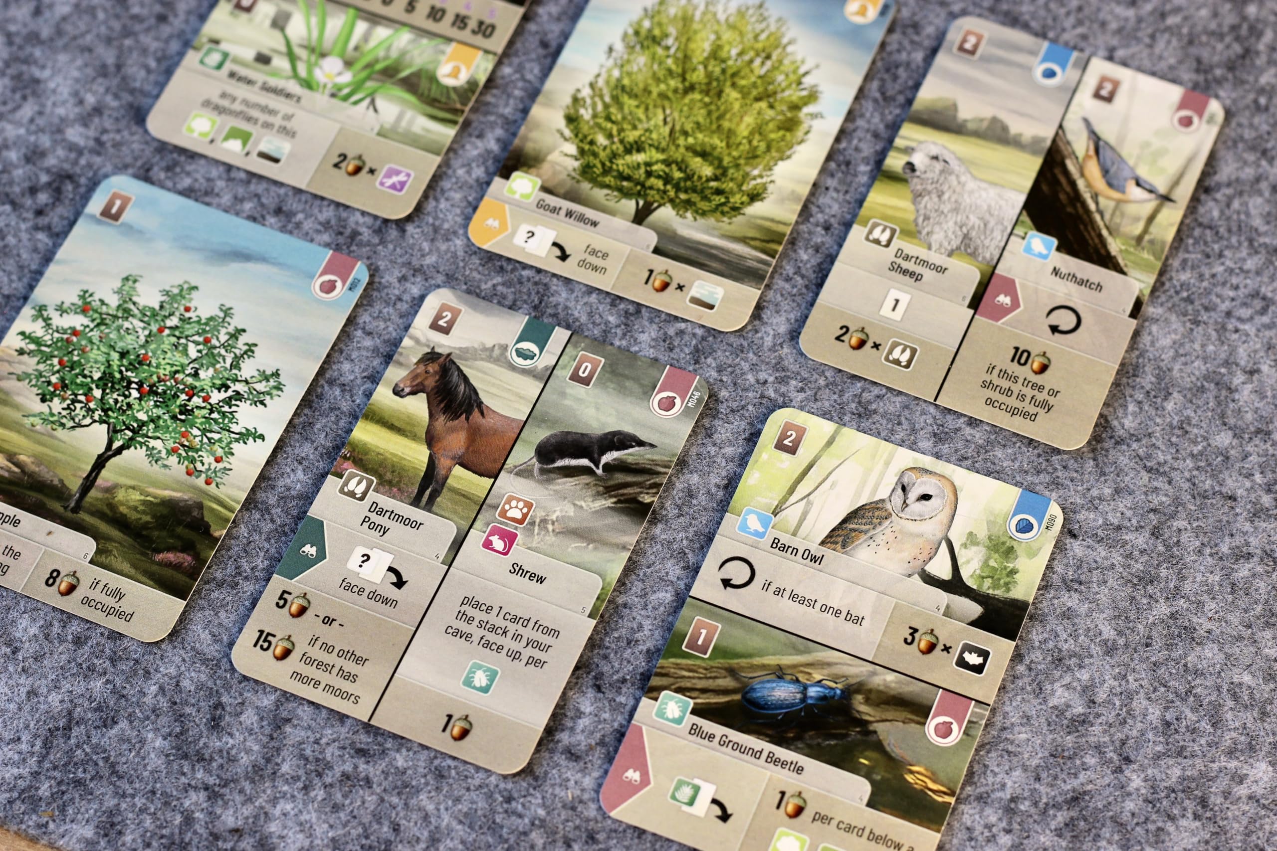 Asmodee Forest Shuffle: Dartmoor Family Card Game | Ages 10+ | 2-4 Players 3