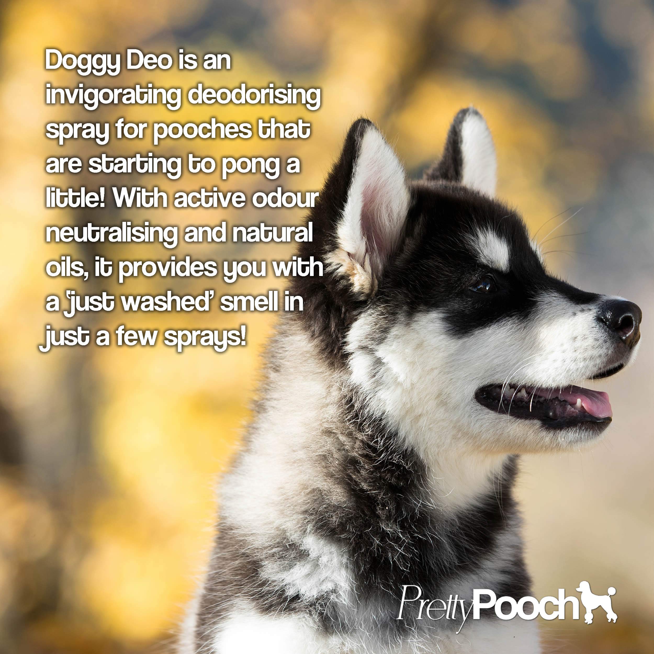 Pretty Pooch Dog Deodoriser Spray Perfume - Baby Powder Scent | 250ml | Vegan & Cruelty-Free 3