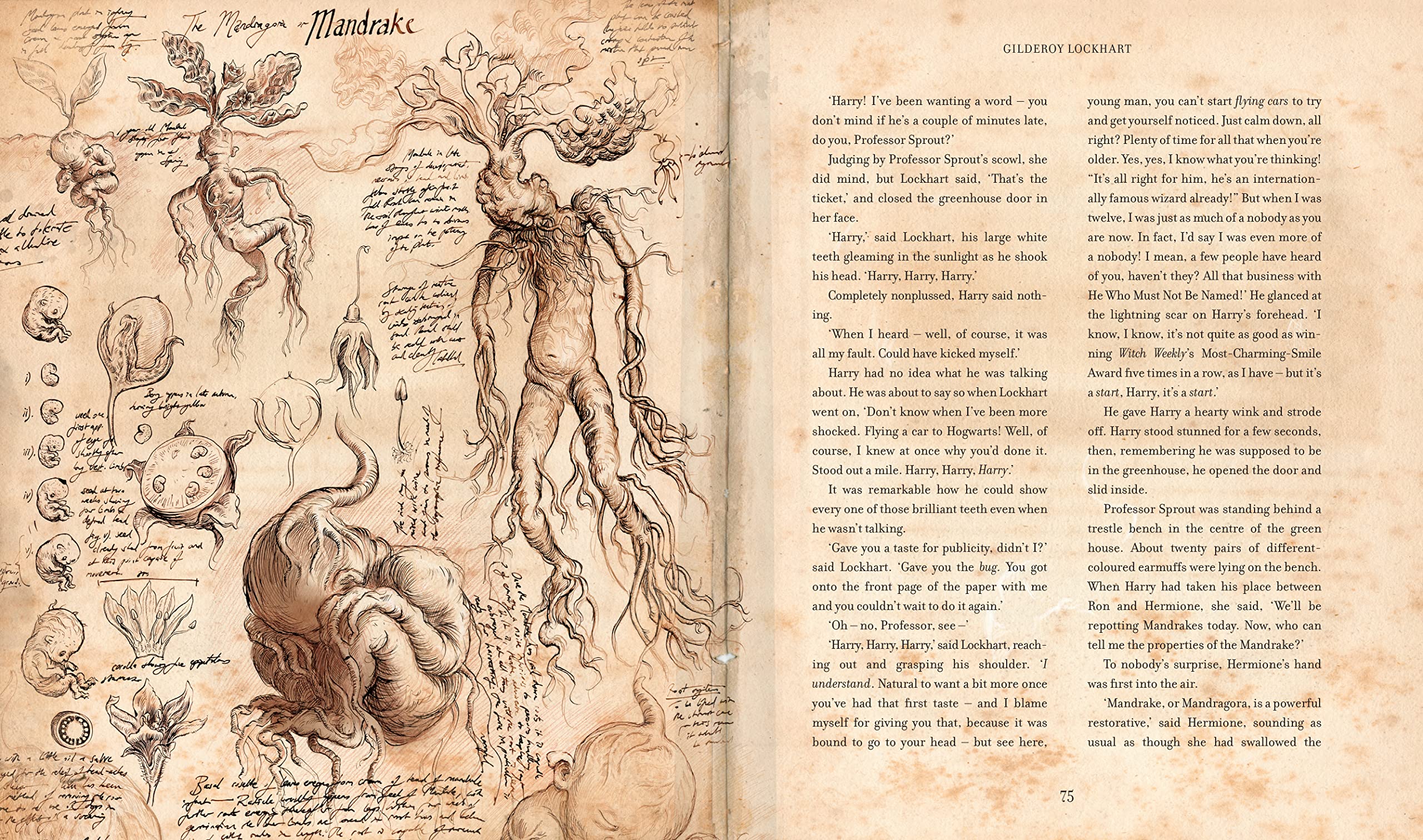 Harry Potter and the Chamber of Secrets: Illustrated Edition - Hardcover | 272 Pages | Ages 7+ 4