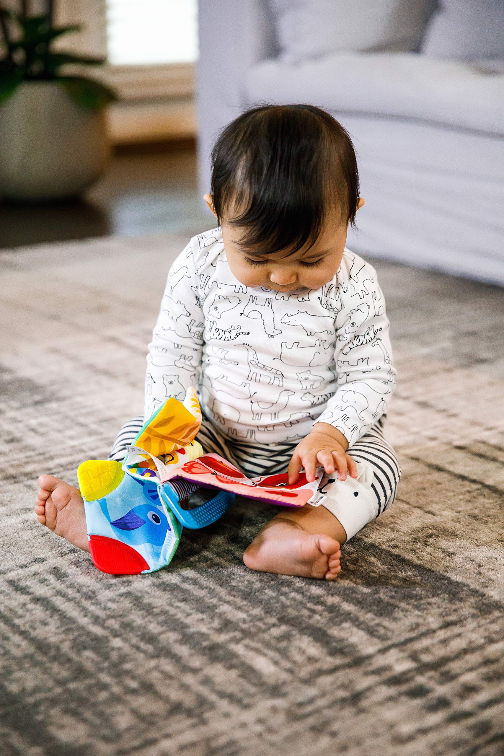 Baby Einstein Curious Explorers Teether Book Take-Along Toy for Newborns + 9