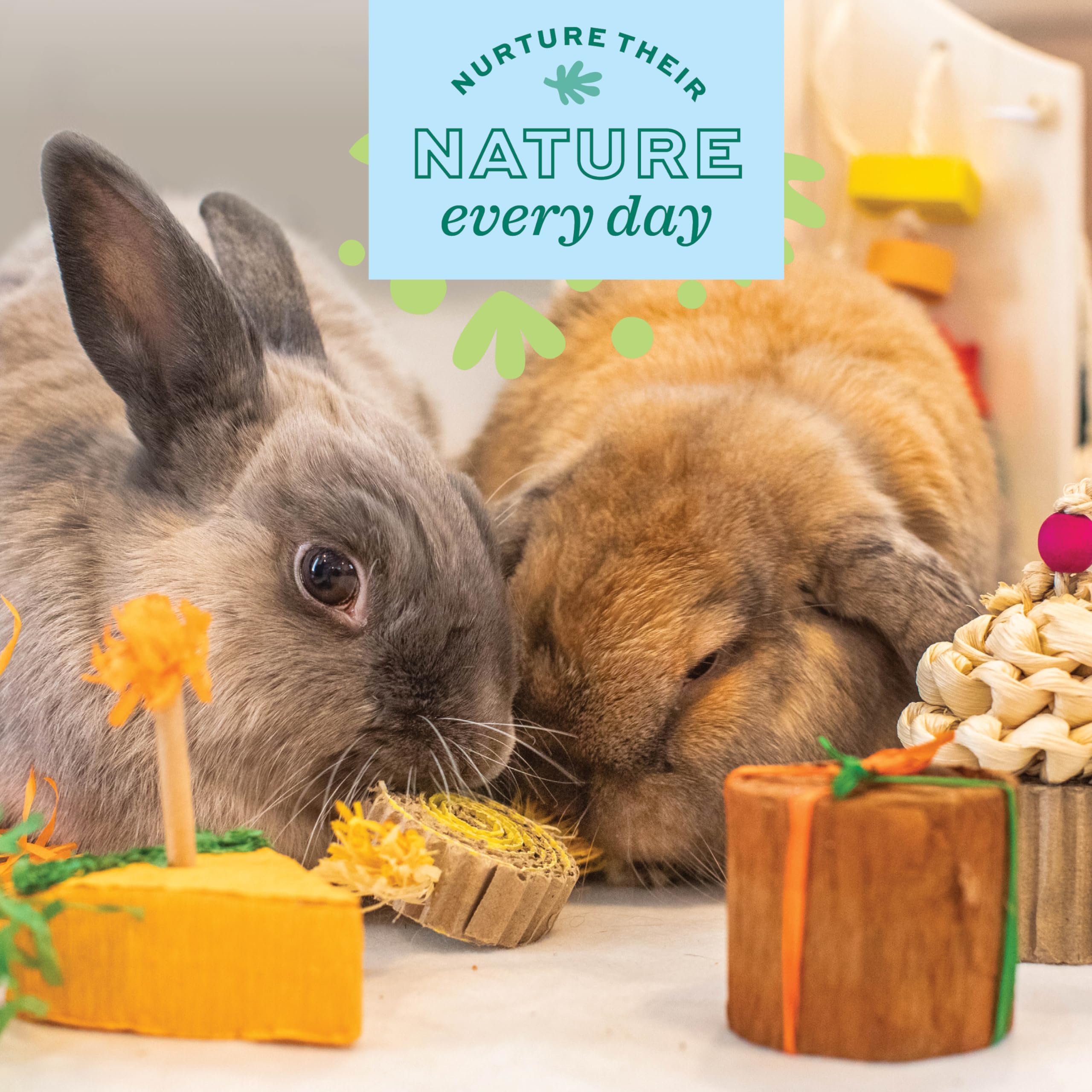 Oxbow Enriched Life Birthday Party Pack - 5 Natural Chews for Small Animals | Lightweight & Portable 3