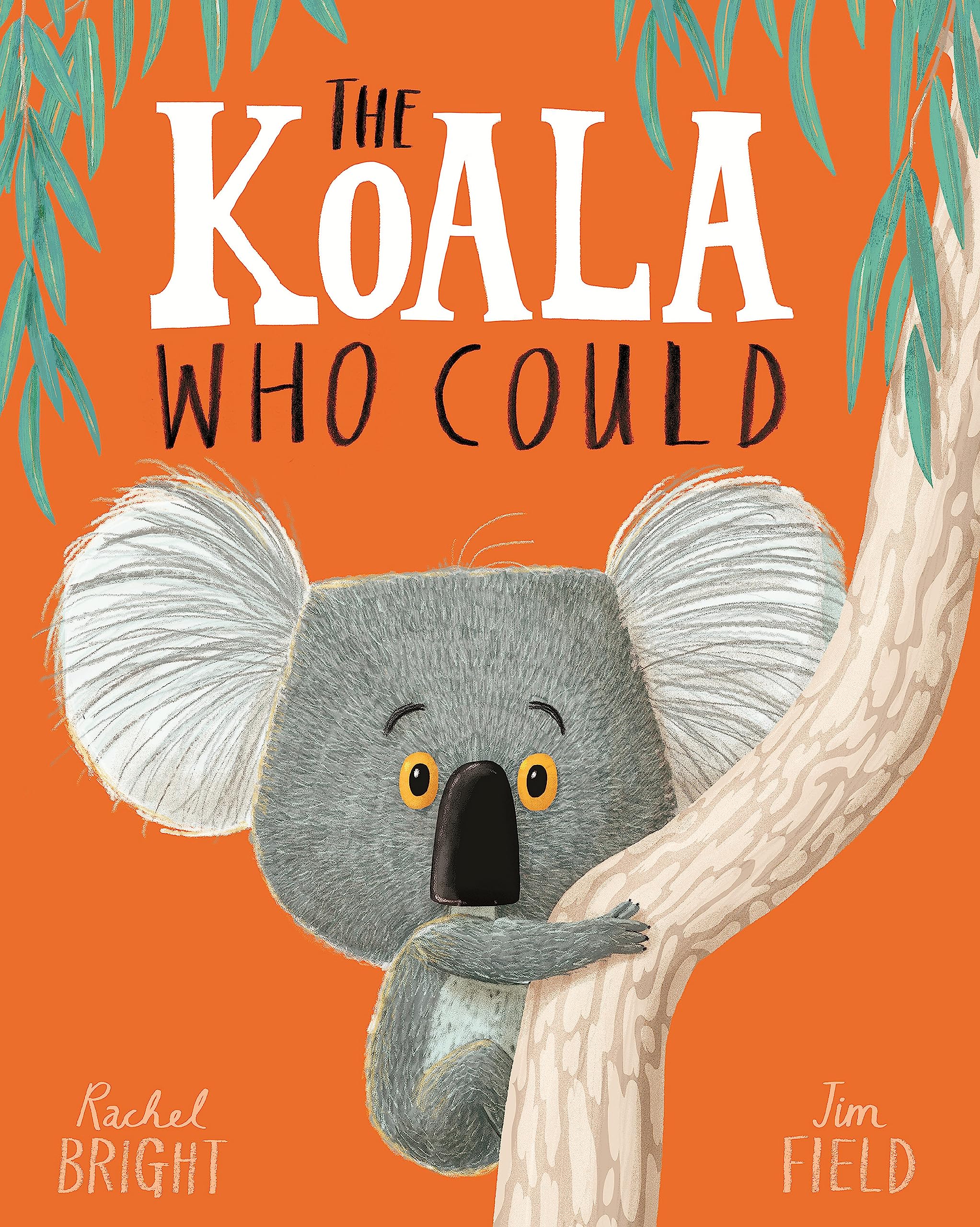 Orchard Books The Koala Who Could by Rachel Bright | Paperback | Ages 2-5