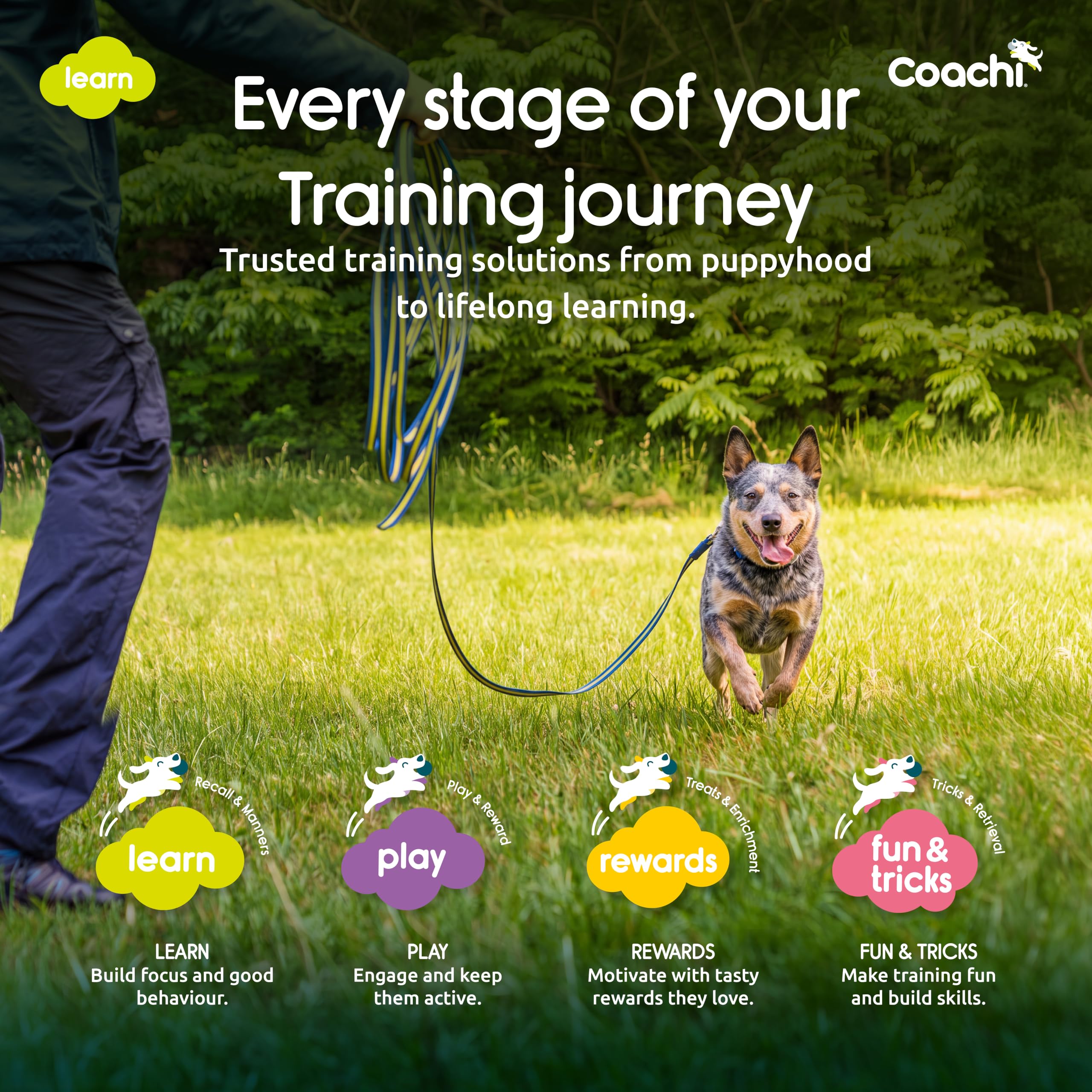 Coachi 5m Training Lead - Recall Training | Lightweight Nylon 8