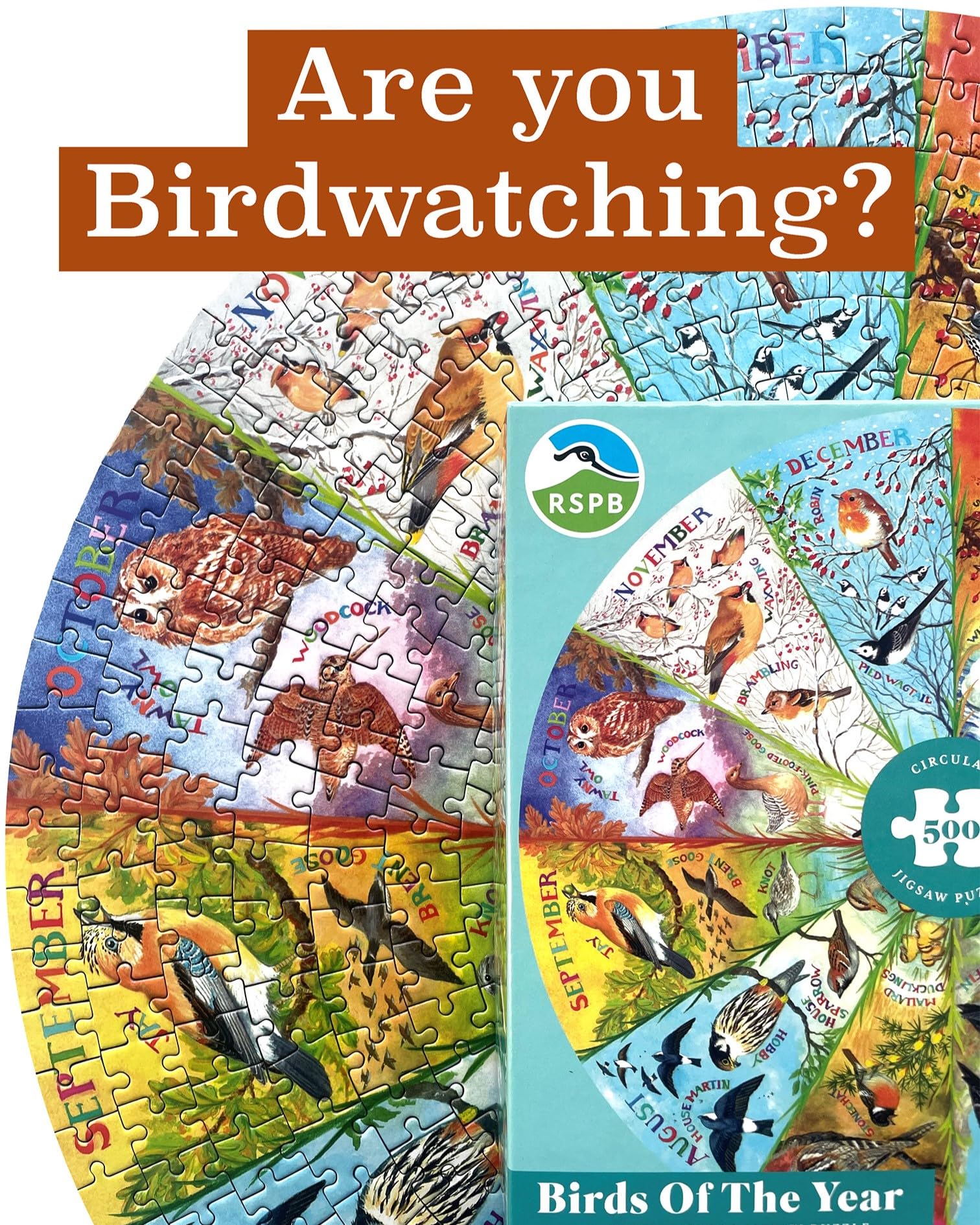 Gibsons RSPB Birds of the Year 500 Piece Circular Jigsaw Puzzle | 49 cm Diameter 6