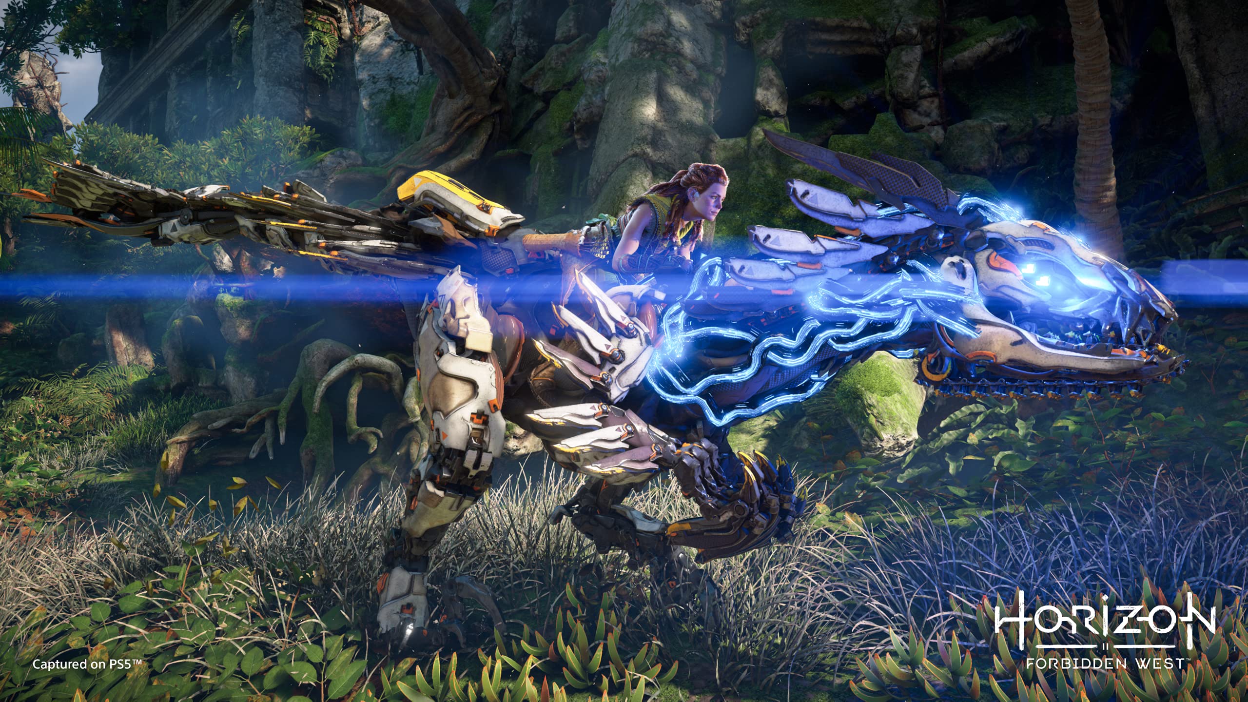 Horizon Forbidden West - PS5 15