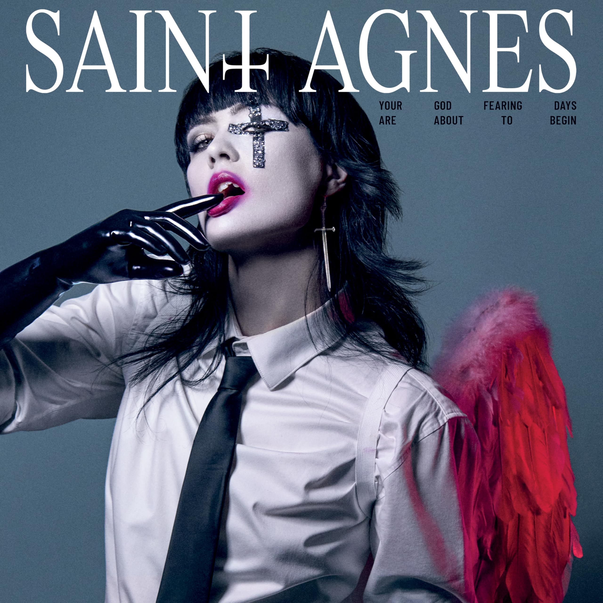 Saint Agnes - Your God Fearing Days Are About To Begin [audioCD]