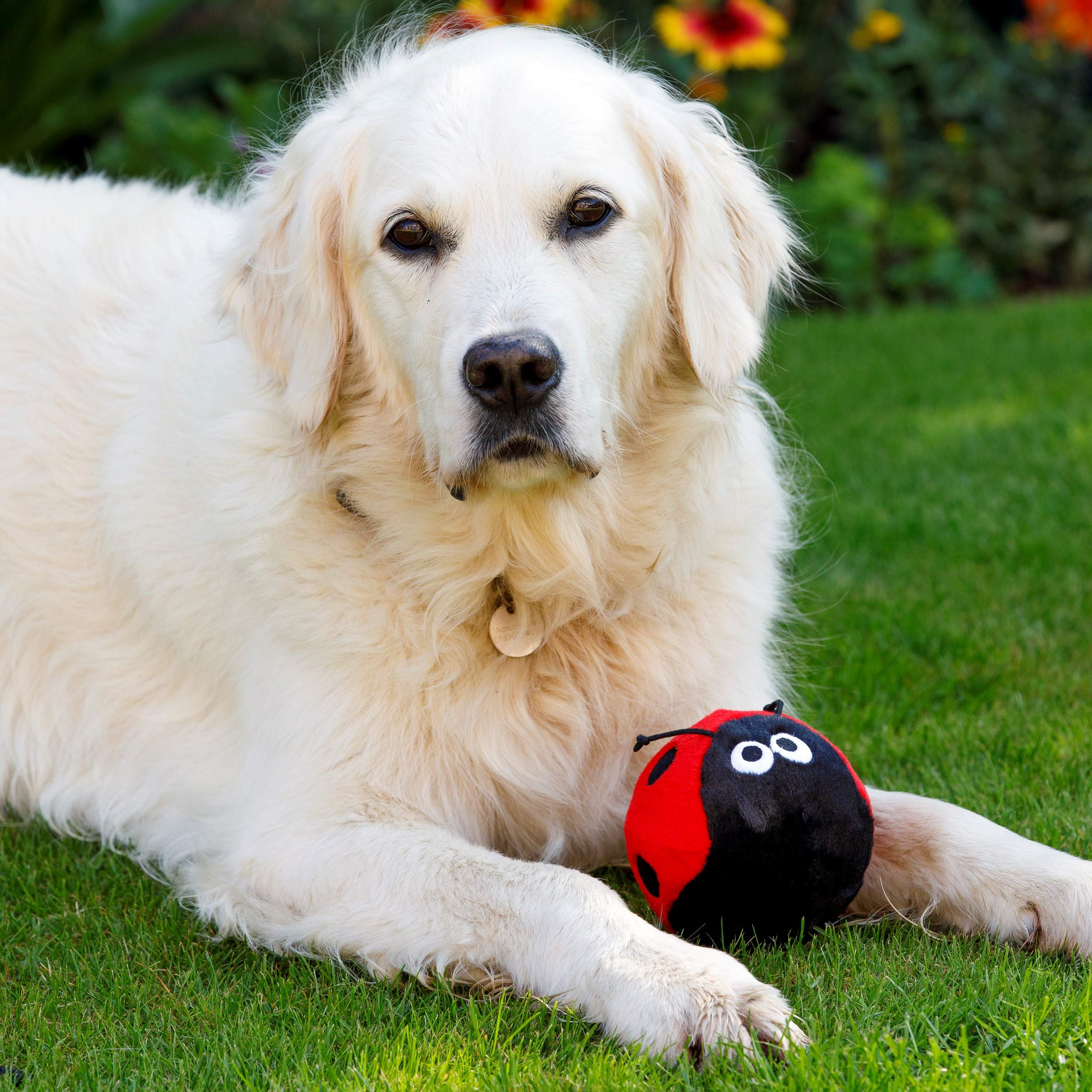 Petface Lindy The Ladybird Plush Dog Toy | Soft & Squeaky | Lightweight 4
