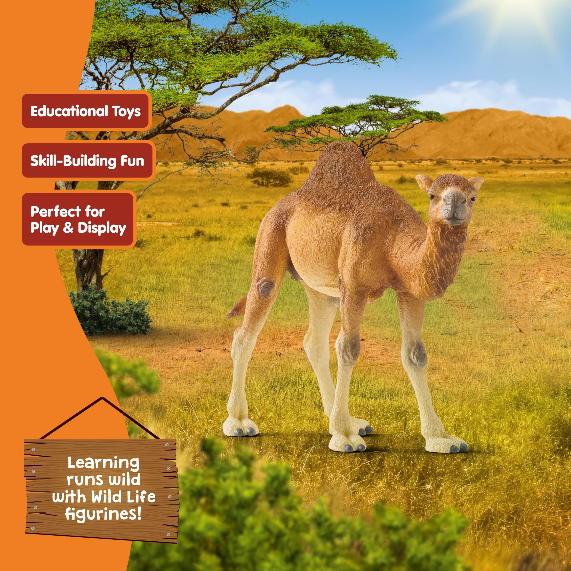 Schleich 14832 Dromedary Wild Life Toy Figurine | Ages 3-8 | Beige/Brown 6