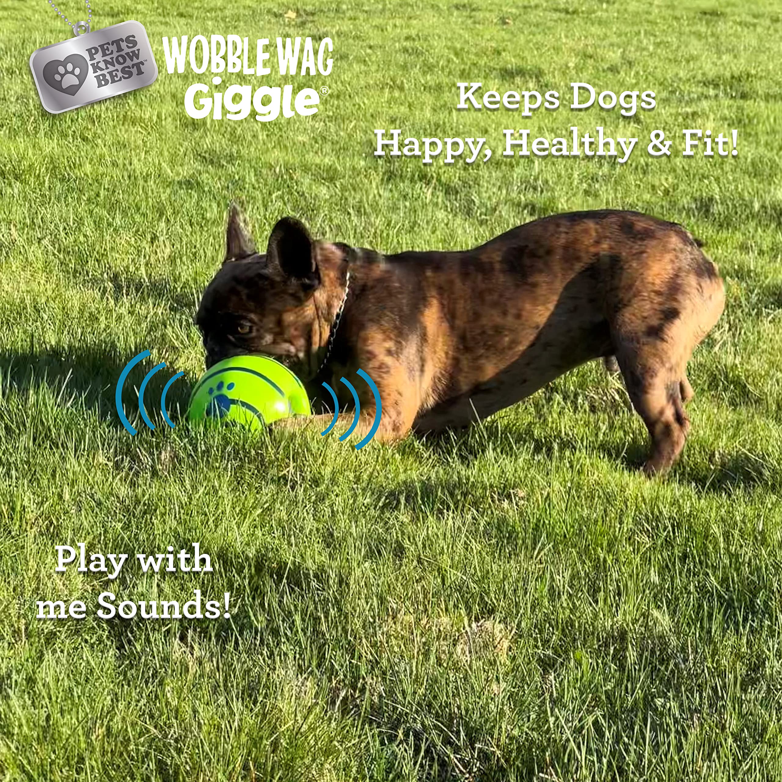 Wobble Wag Giggle Interactive Sound Dog Toy Ball | Medium Size | Green Vinyl 4