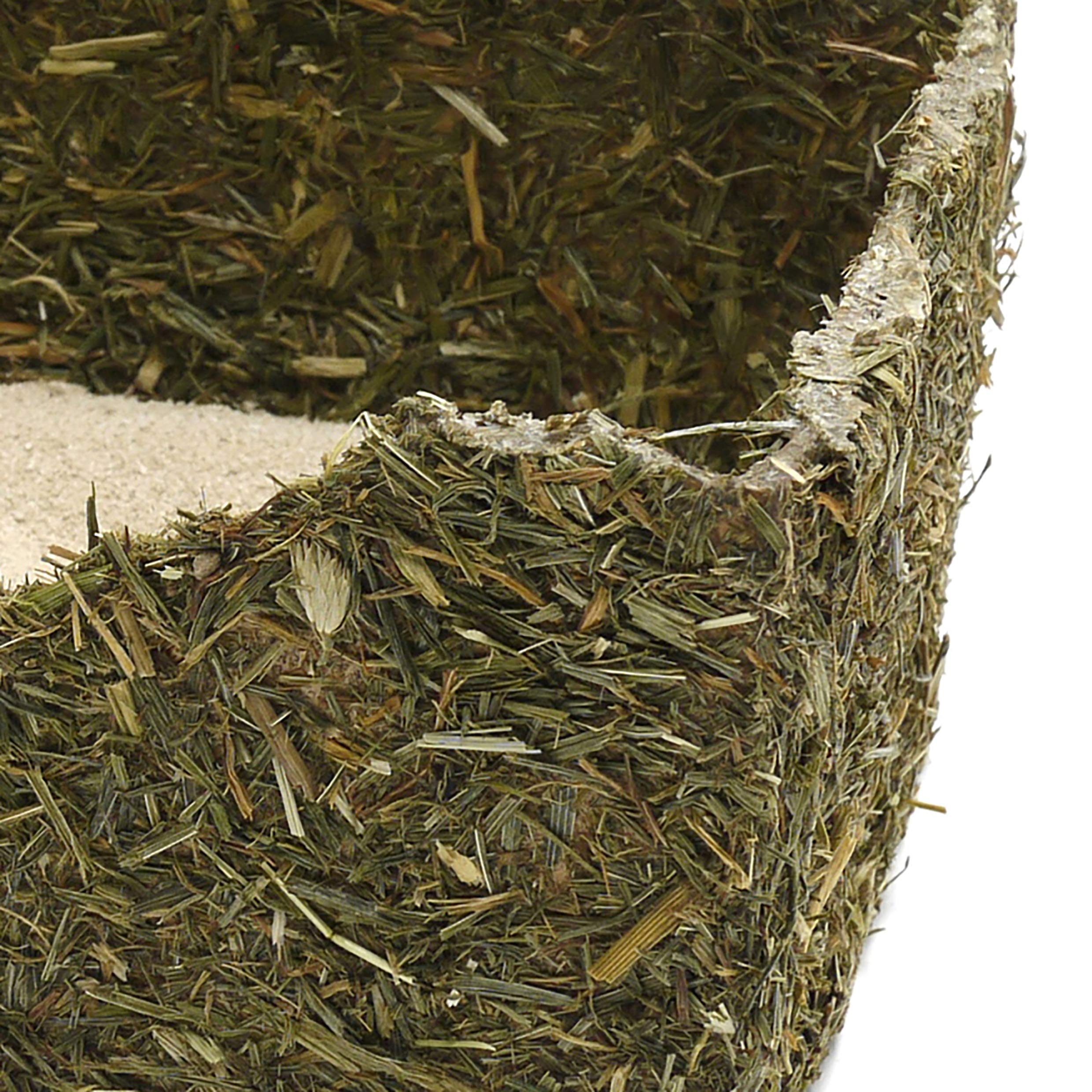 Rosewood Naturals Rollin' Rodent Sand Bath - 350g Sepiolite Sand | Edible Hay Box 3