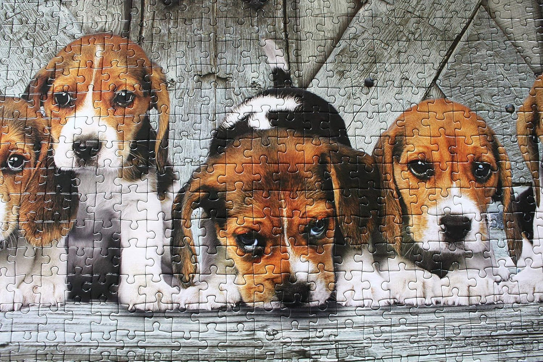 Clementoni Panorama Collection - Beagles 1000-Piece Jigsaw Puzzle (39435)