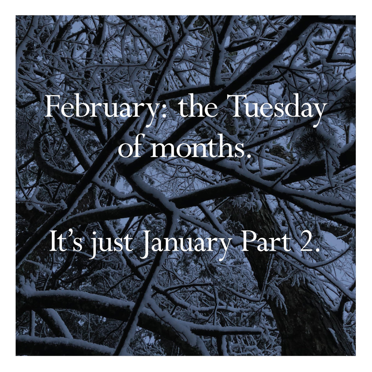 Chronicle Books Disappointing Affirmations 2027 Wall Calendar - 12 x 12 in