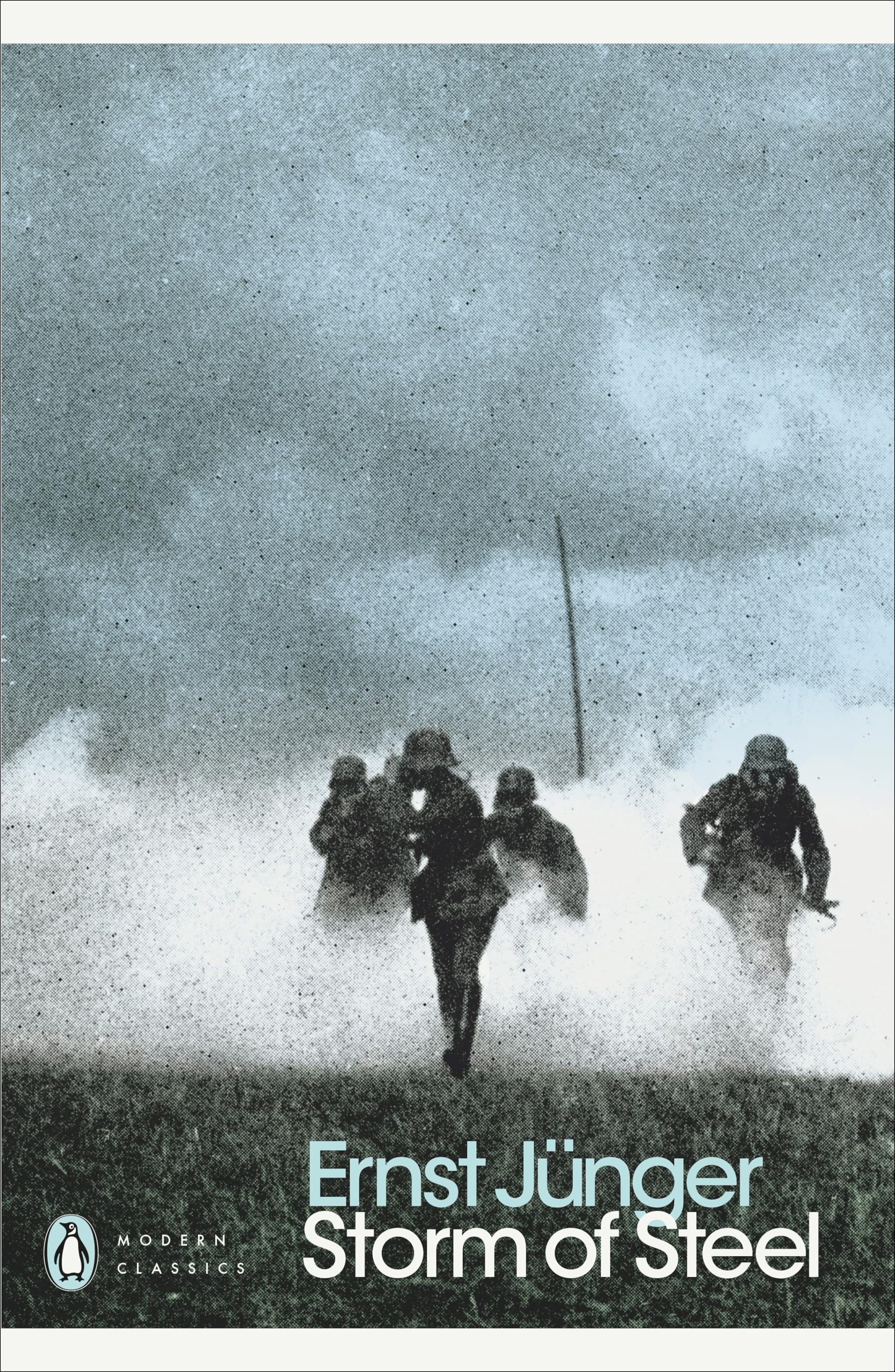 Penguin Storm of Steel - World War I Memoir | 320 Pages | Paperback 1