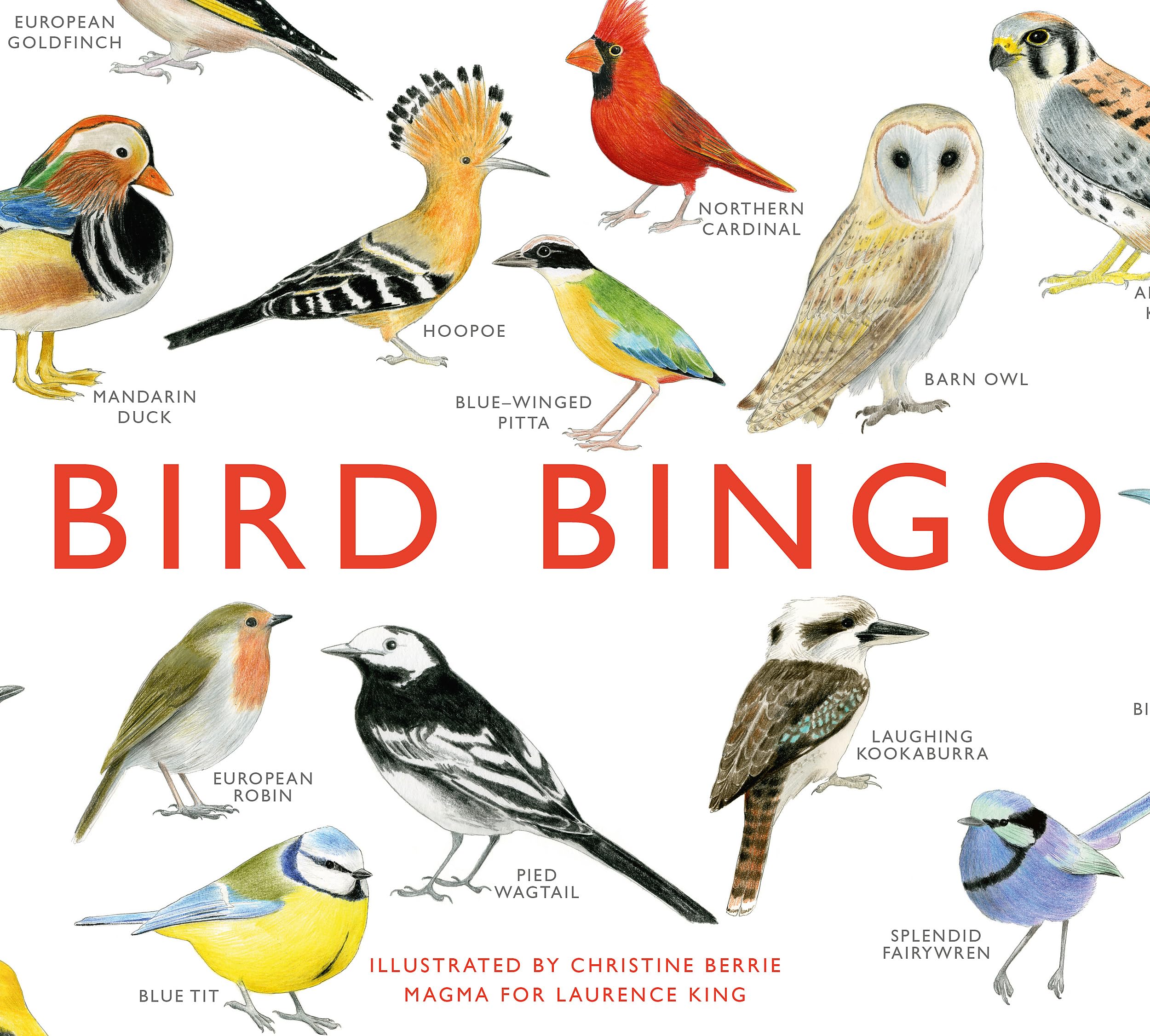 Laurence King Bird Bingo - Educational Game for Children/Juvenile | Multicolor | Cardstock
