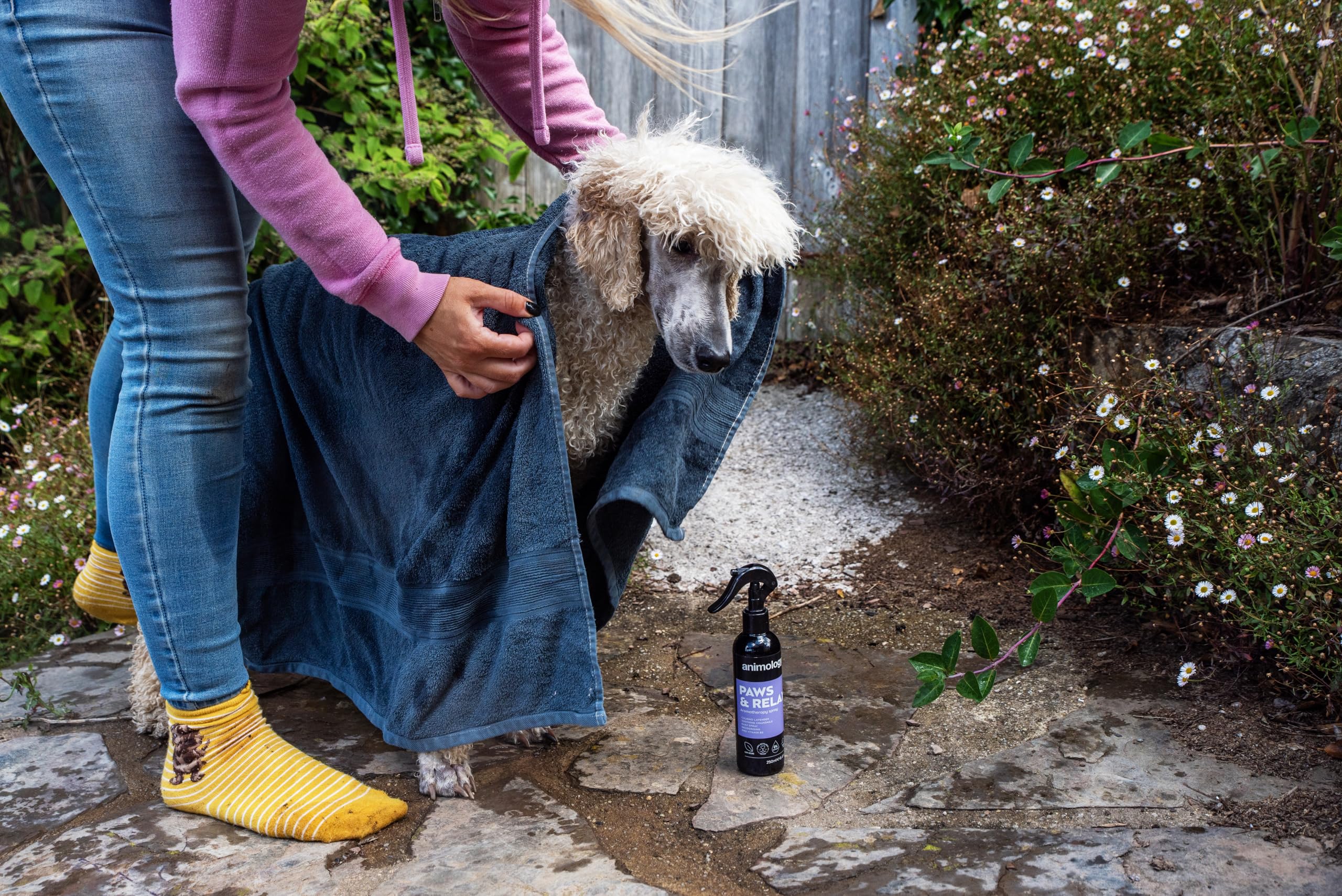 Animology Paws & Relax Aromatherapy Dog Spray - Calming Lavender & Chamomile Scent | 250 ml 4