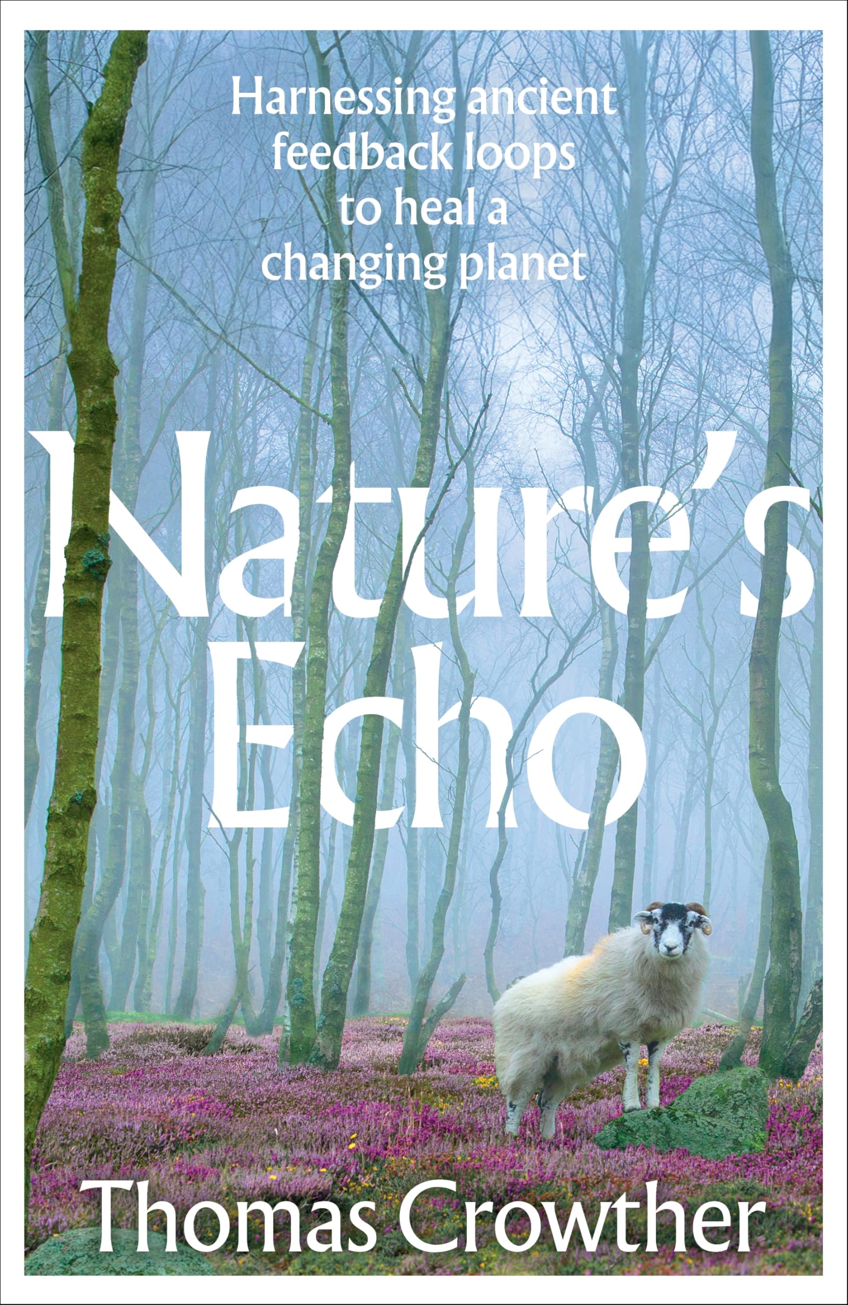 Allen Lane Nature's Echo: Harnessing Ancient Feedback Loops to Heal a Changing Planet | Hardcover