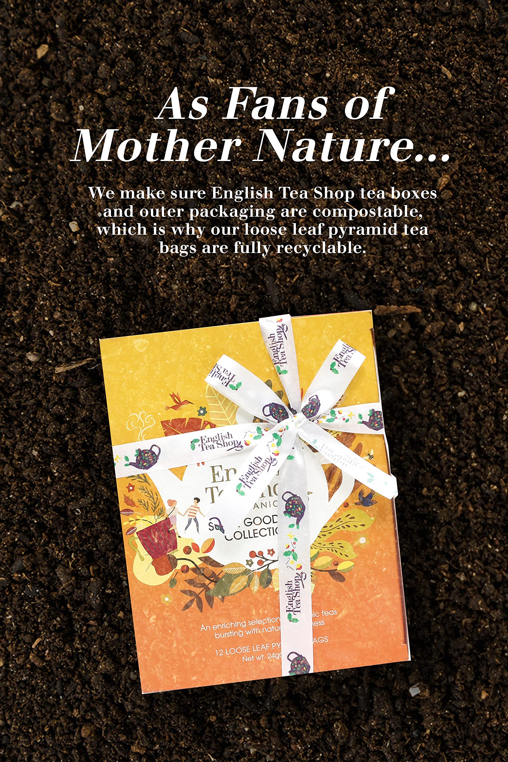 English Tea Shop Super Tea Prism Collection - 12 Fairtrade Organic Pyramid Tea Bags in 6 Flavours 9