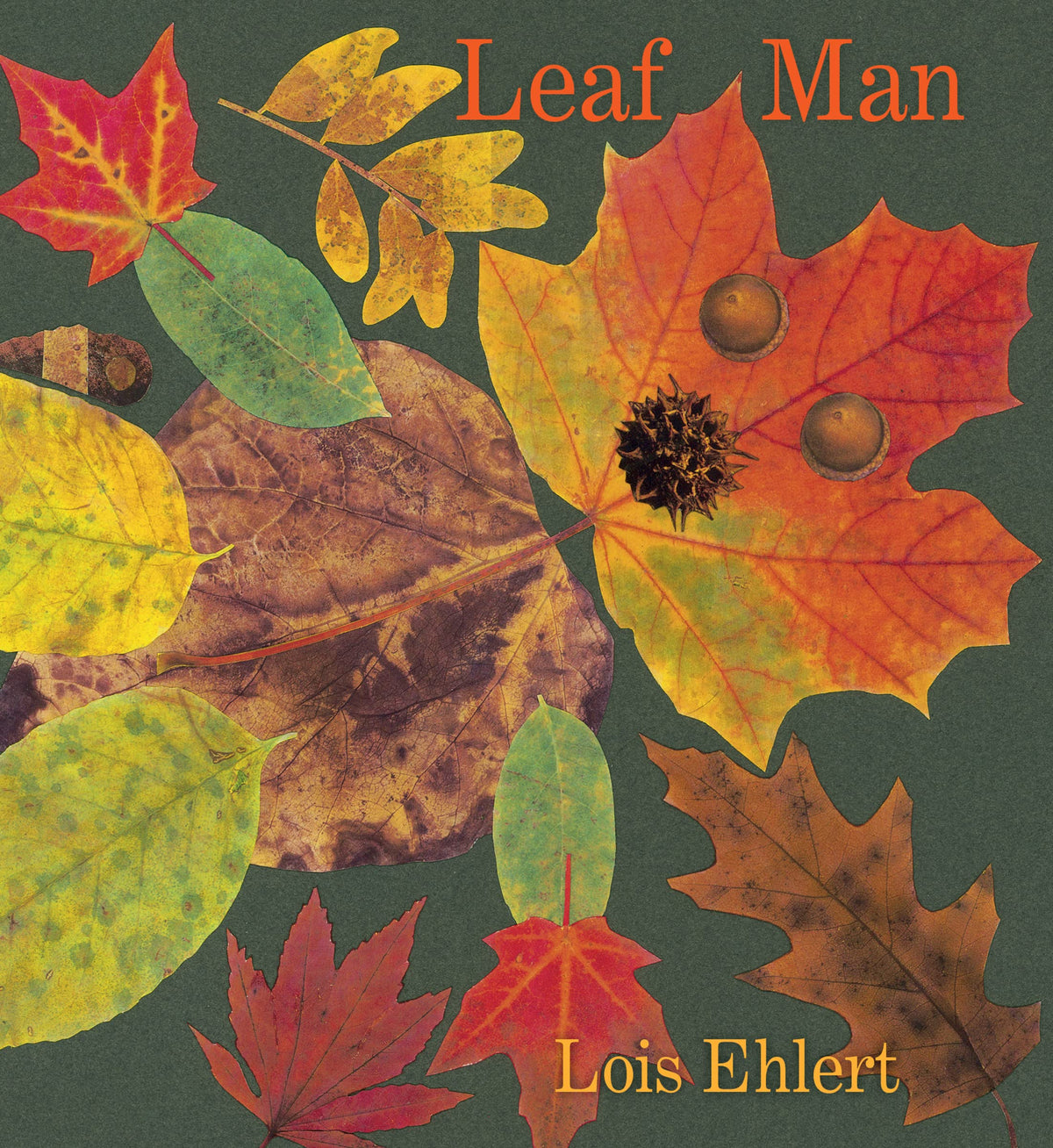 Leaf Man Board Book - Autumnal Classic | Board Book | Ages 3-5