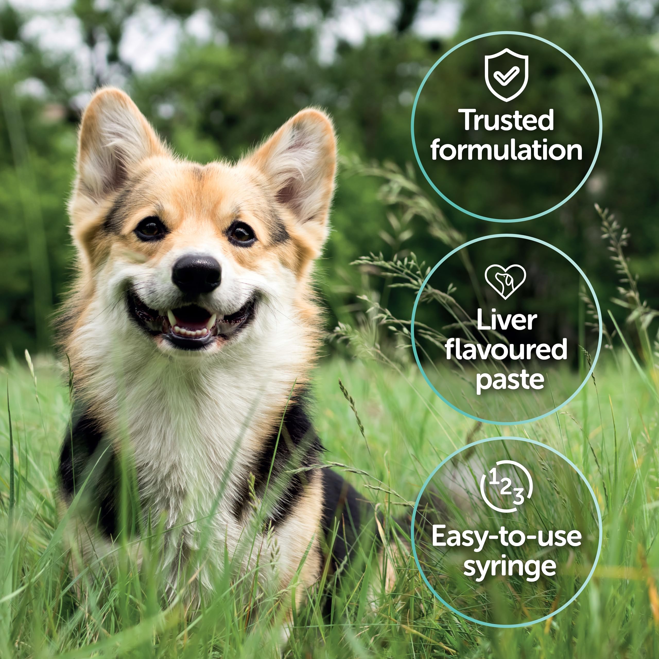 Protexin Veterinary Pro-Kolin Advanced Paste for Dogs - Digestive Support | 30ml Syringe 3