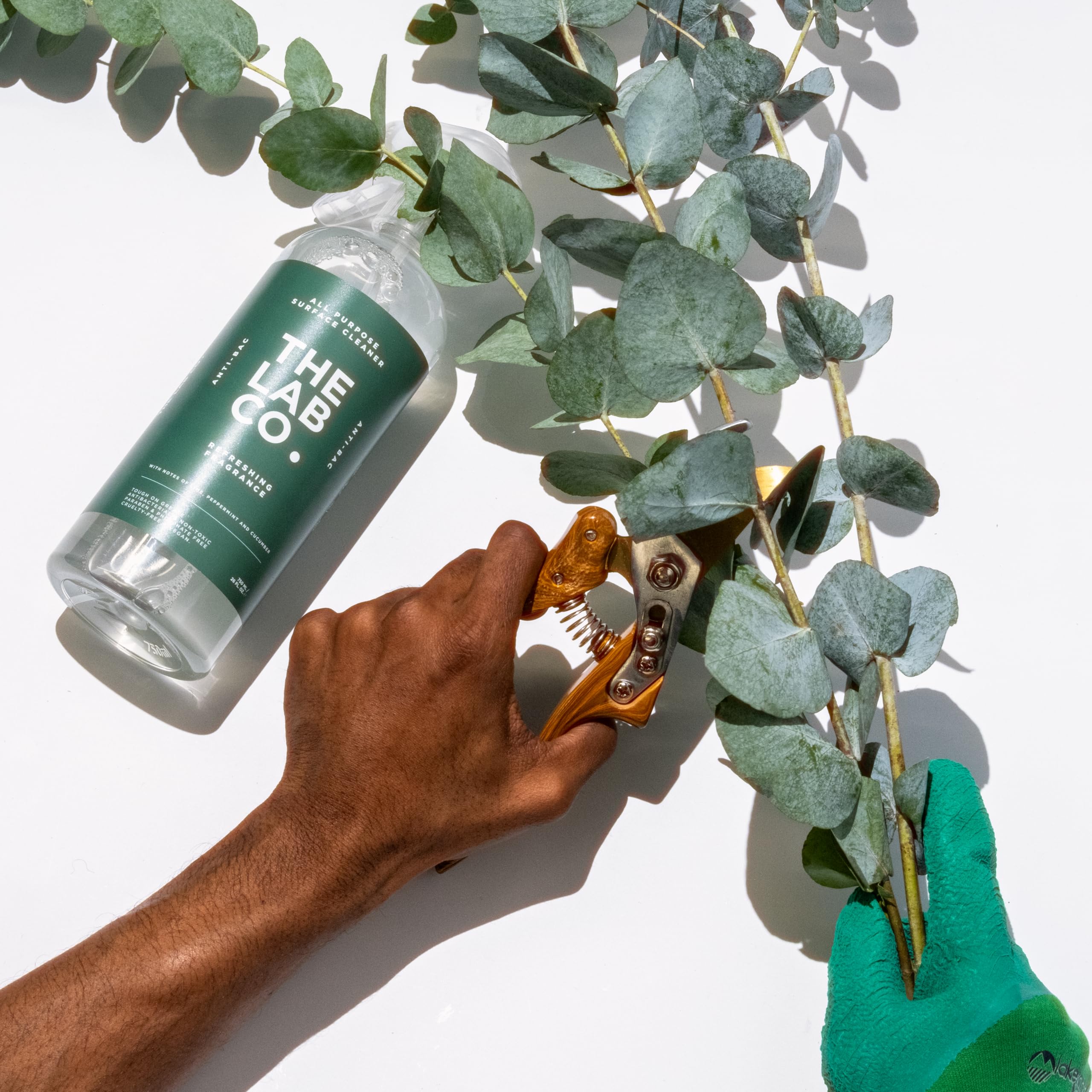The Lab Co. Antibacterial All Purpose Cleaner - Kills Bacteria | Streak Free | 750ml 9